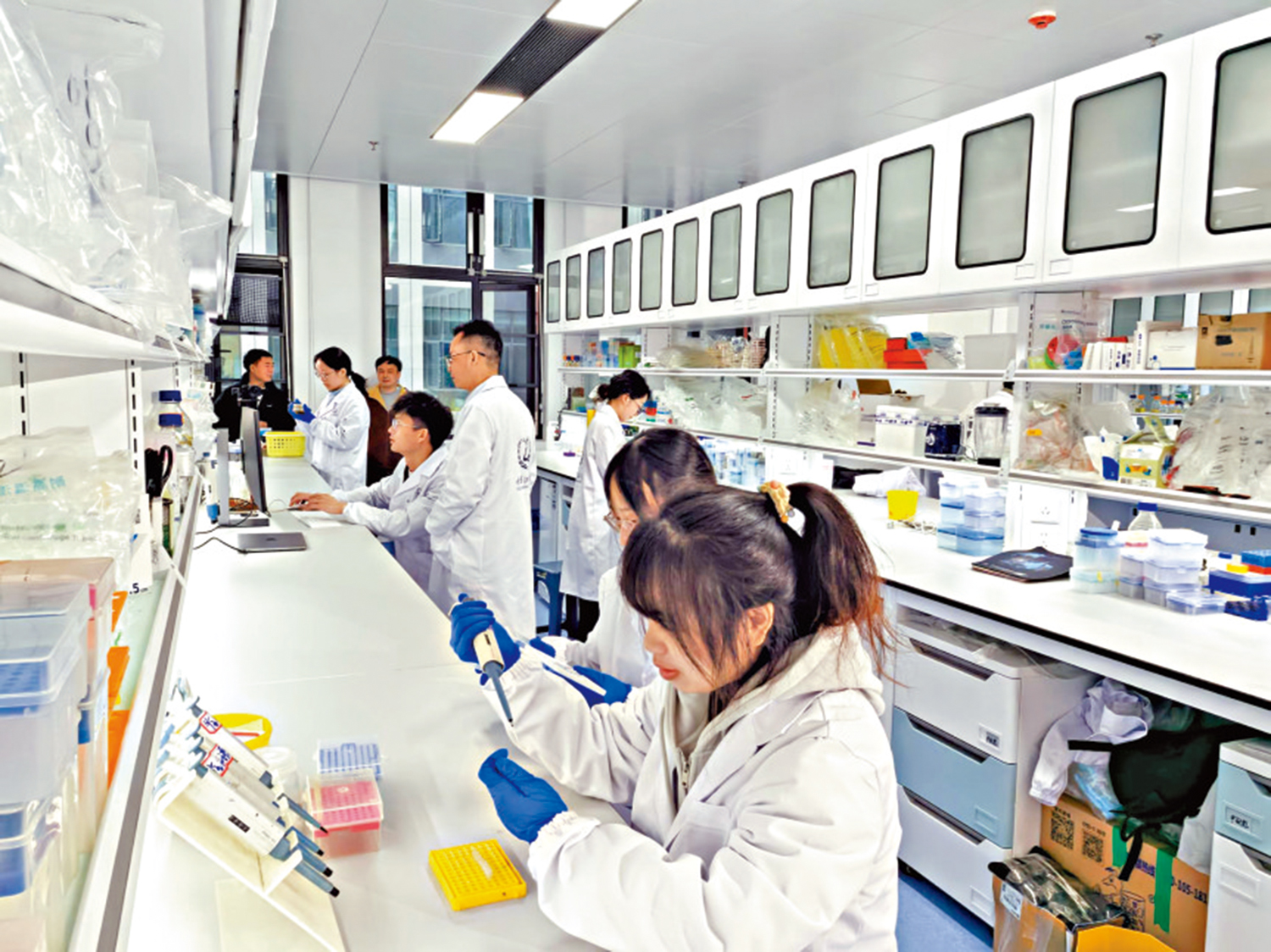 　　圖：「種業硅谷」岳麓山實驗室研究人員正在作業。\受訪者供圖