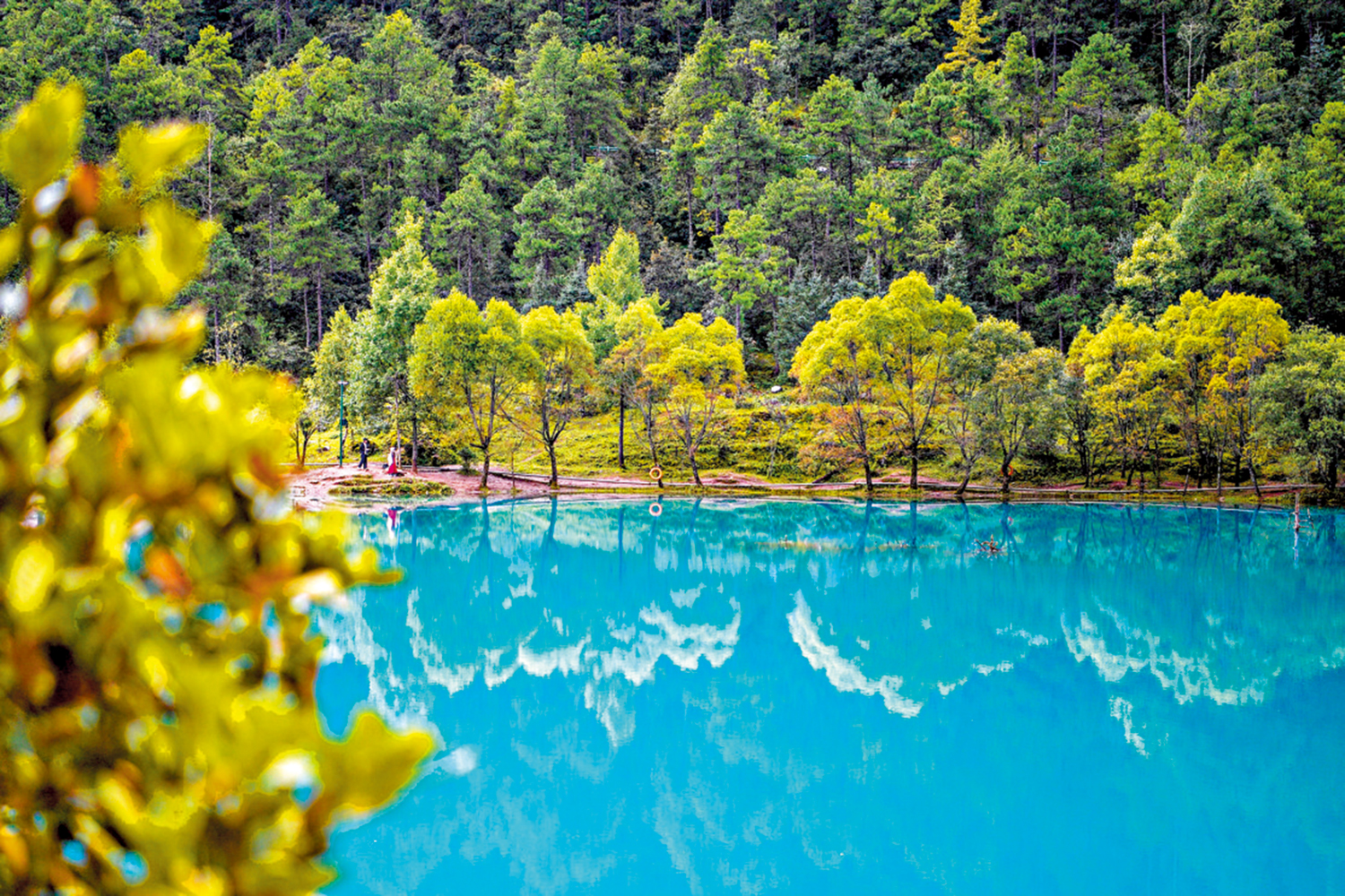 　　圖：藍月谷掠影