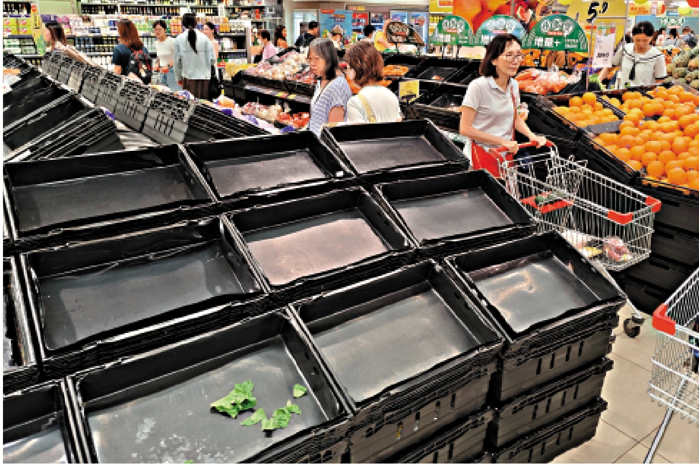 　　圖：超市內賣蔬菜的貨架一早已被搶購一空。\大公報記者林少權攝