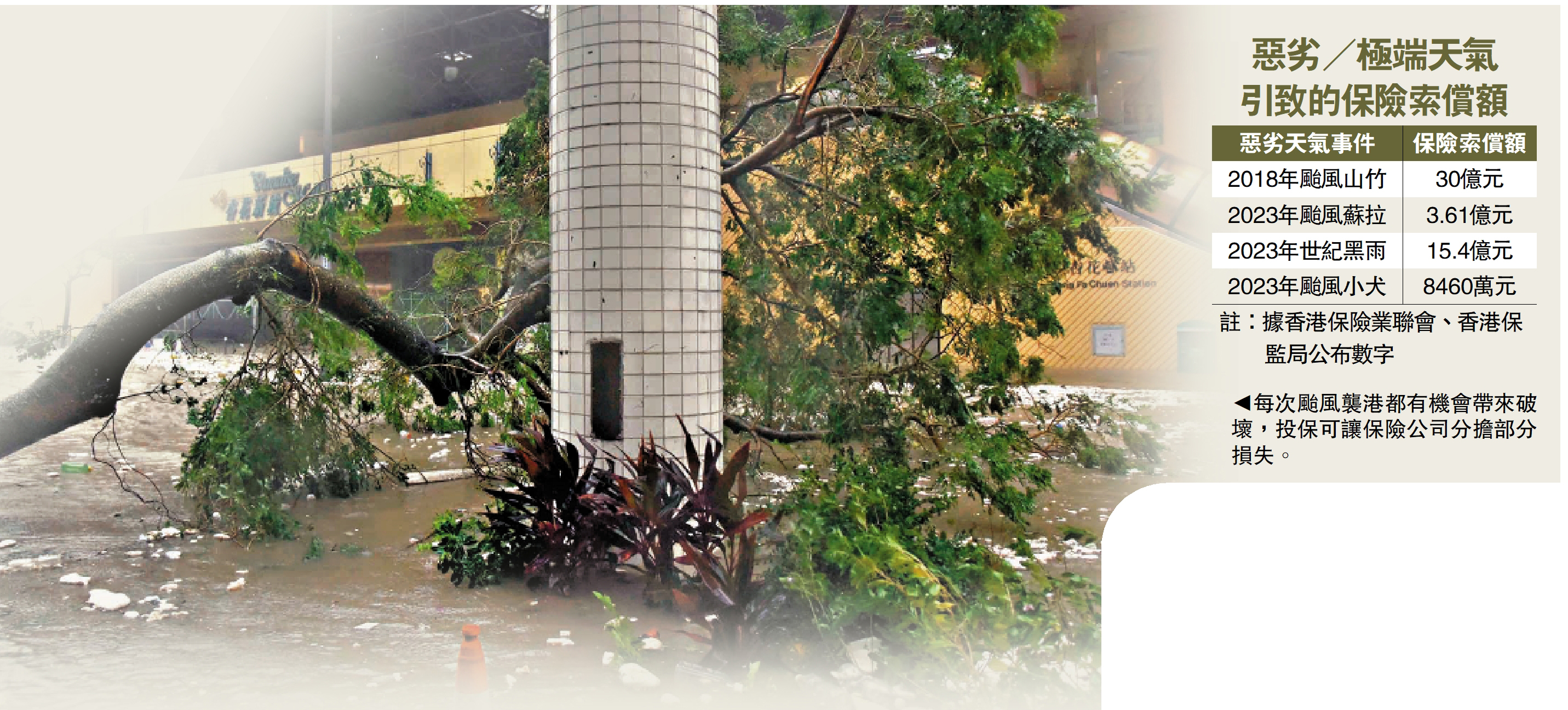 　　圖：每次颱風襲港都有機會帶來破壞，投保可讓保險公司分擔部分損失。