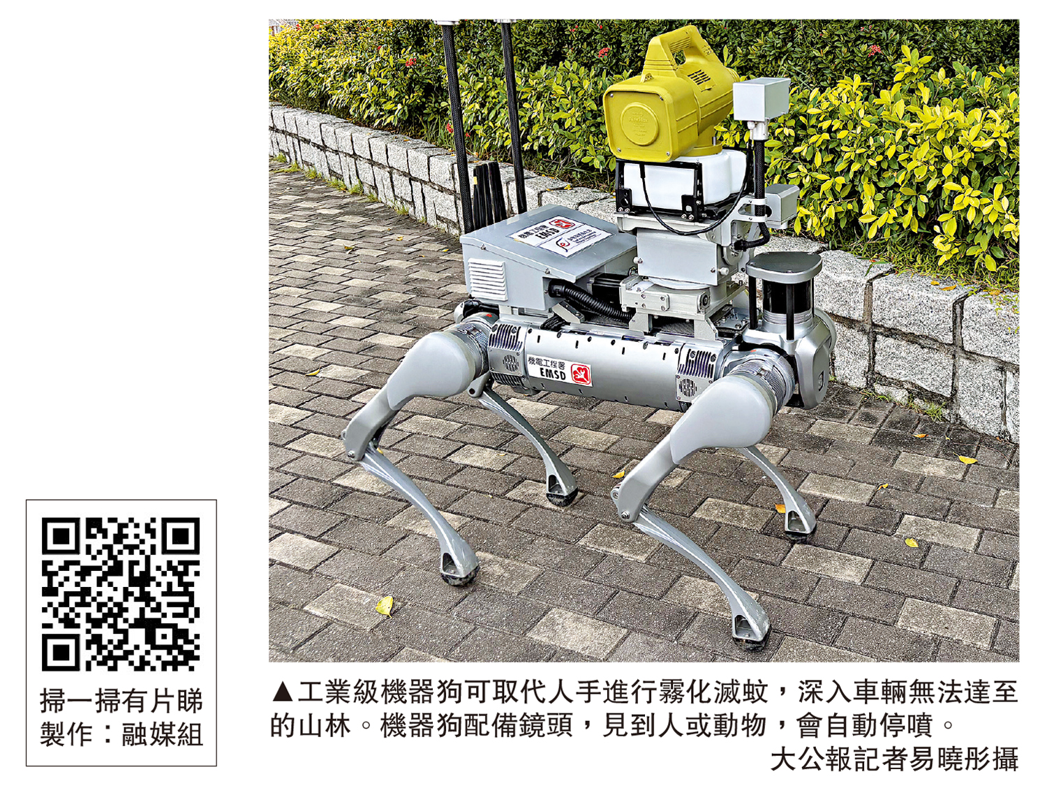 　　圖：工業級機器狗可取代人手進行霧化滅蚊，深入車輛無法達至的山林。機器狗配備鏡頭，見到人或動物，會自動停噴。\大公報記者易曉彤攝