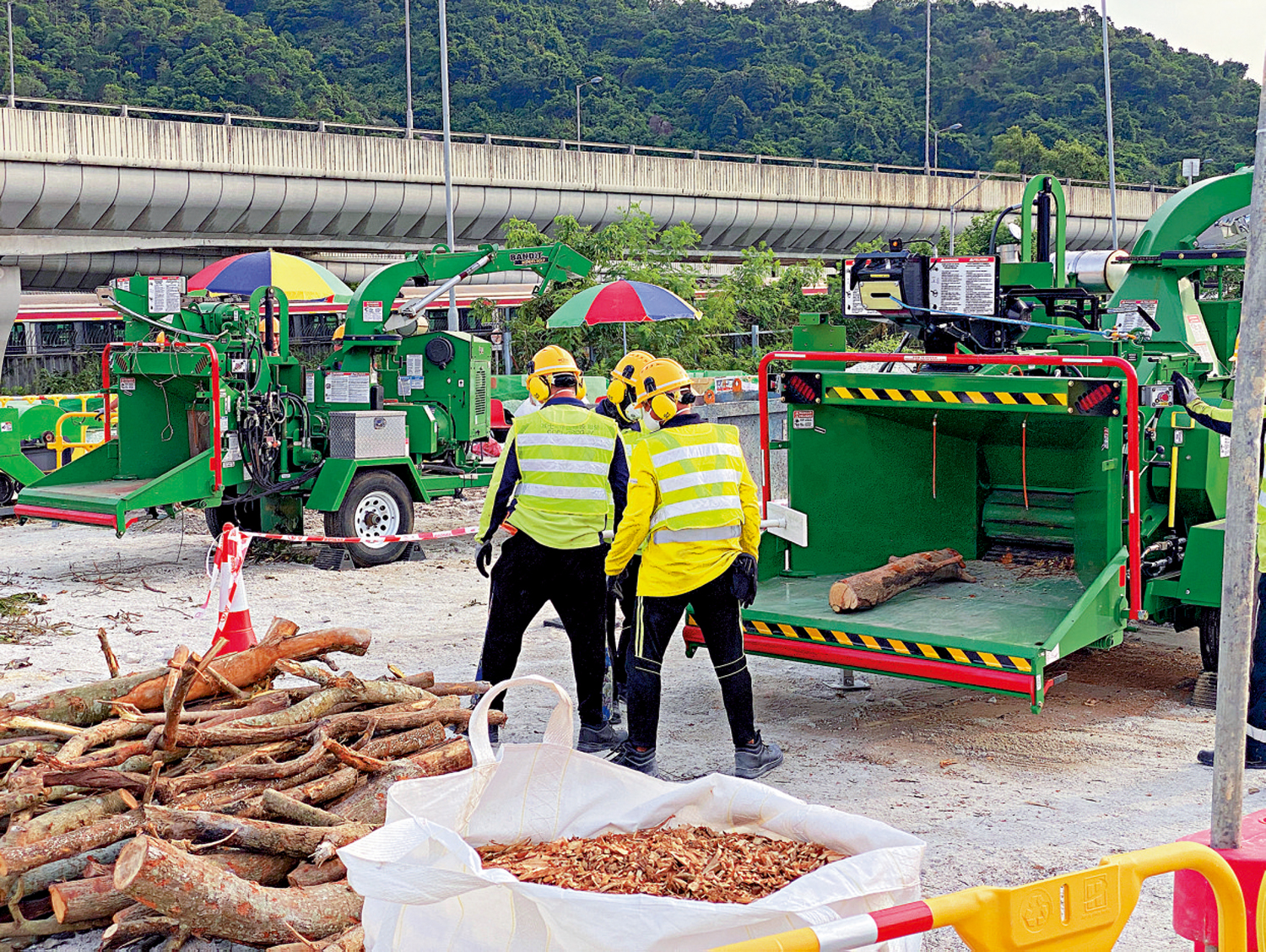 　　圖：沙田樹木臨時處理點正在運作，處理颱風「樺加沙」造成的塌樹。\大公報記者莫雲攝