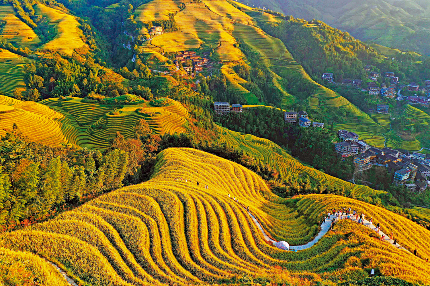 　　圖：近日，在廣西壯族自治區桂林市龍勝各族自治縣龍脊梯田，遊客在觀光遊覽。\新華社