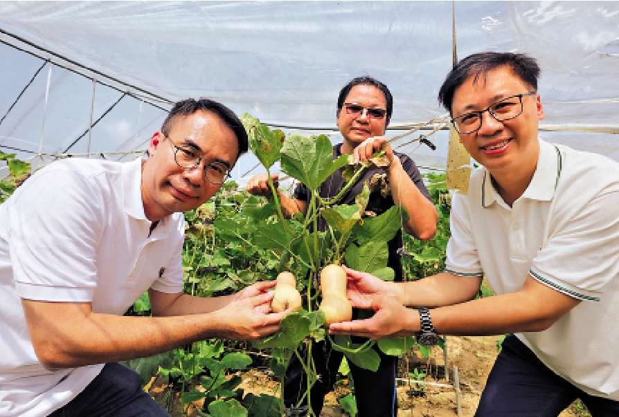　　圖：美心夥拍農莊及7-Eleven，用咖啡渣酵素種植出健康的農作物。\大公文匯全媒體記者郭木又攝