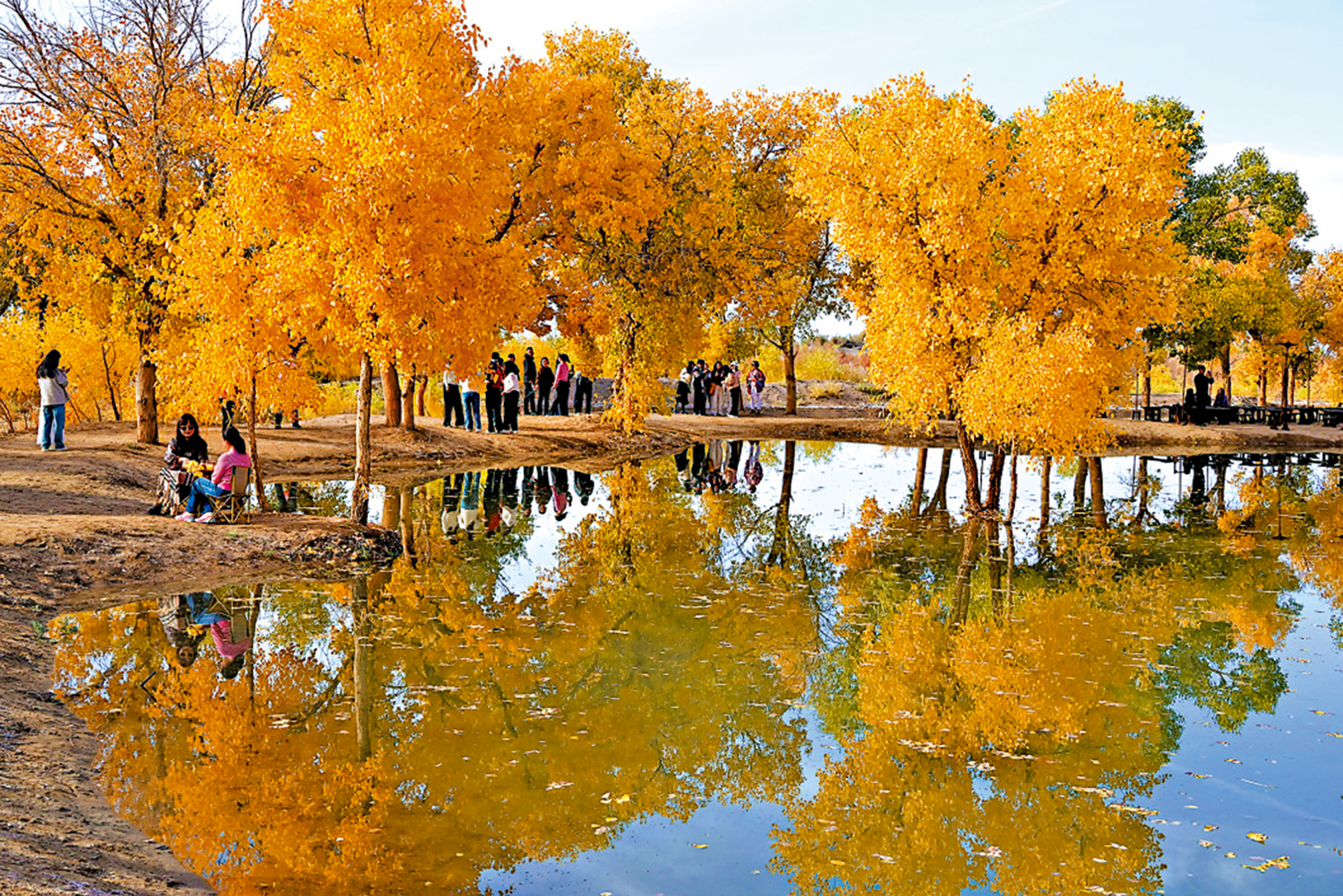 　　圖：金秋十月，甘肅敦煌多地胡楊林被秋色渲染，吸引遊客前來賞景打卡拍照。\新華社