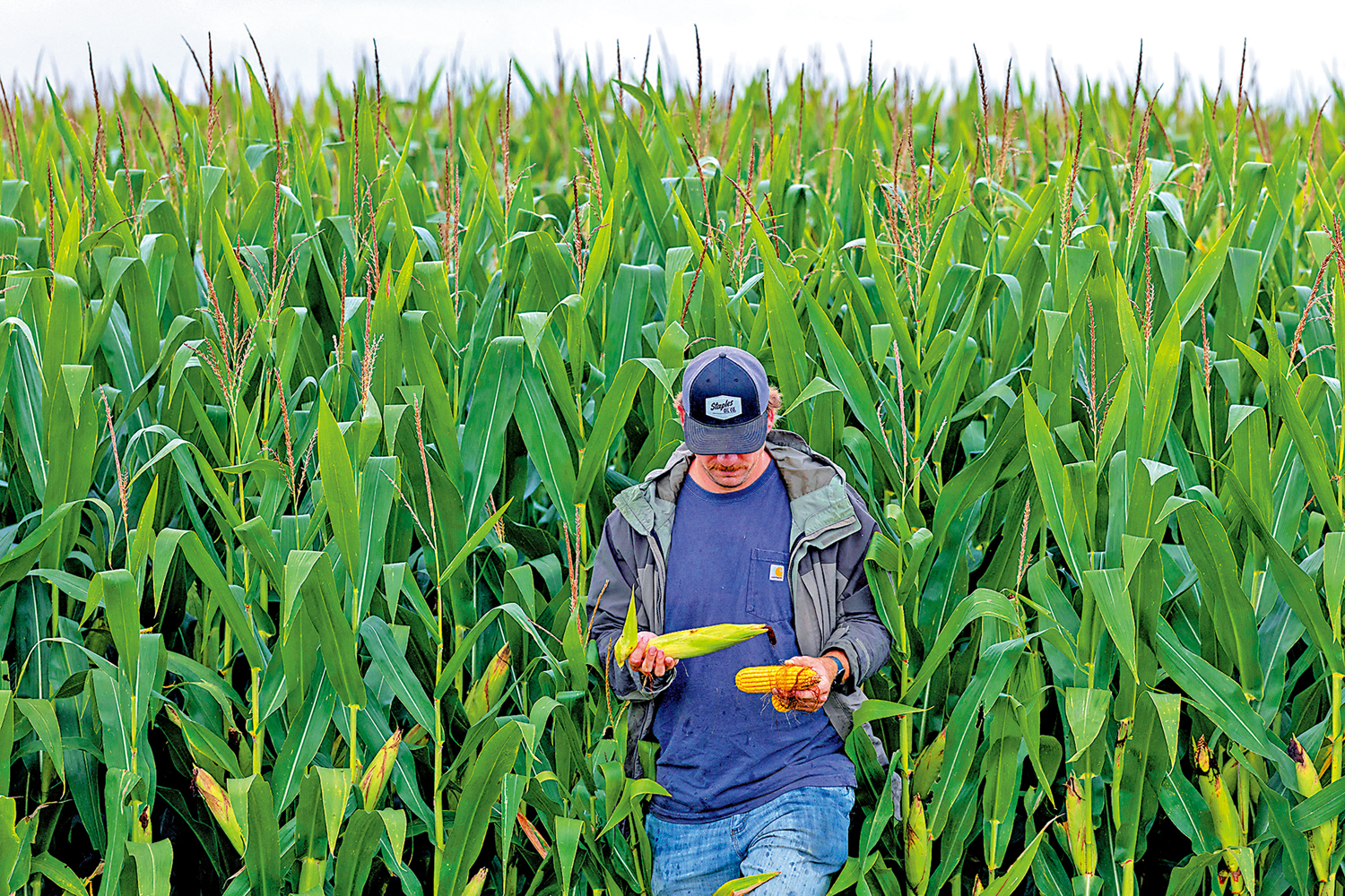 　　圖：美國多地的農場面臨破產危機。\路透社