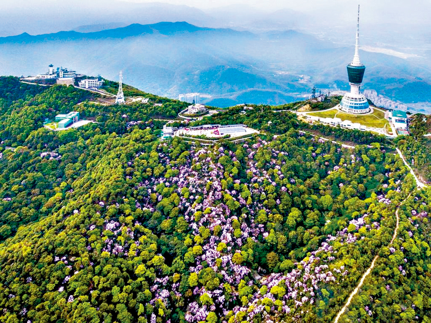 　　圖：大梧桐生態融合區南側將以梧桐山風景名勝區為主體。梧桐山與香港紅花嶺「山同脈、水同源」，是共建深港「生態特區」、塑造灣區「綠色心臟」的關鍵支點。 網絡圖片