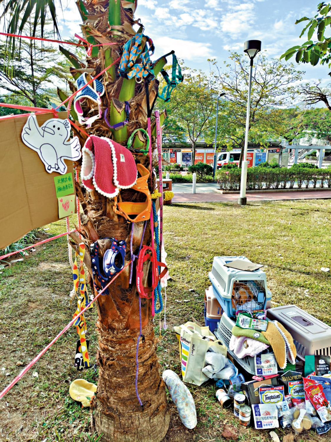 　　圖：動物義工在樹木上悉心布置，給市民紀念在火災中罹難的寵物。