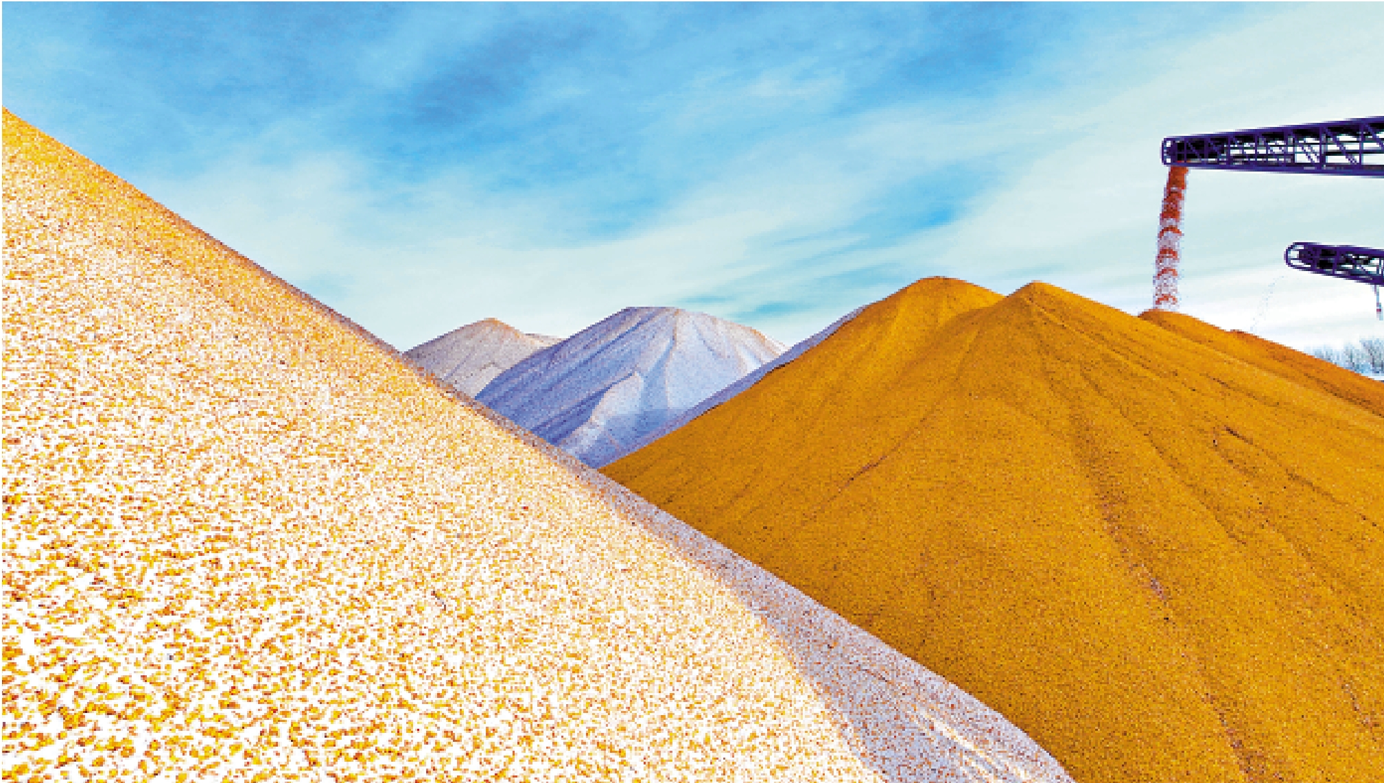 　　圖：2025年黑龍江糧食總產量逾1640億斤，實現「二十二連豐」，成為國家糧食安全的「壓艙石」。\大公報記者于海江攝