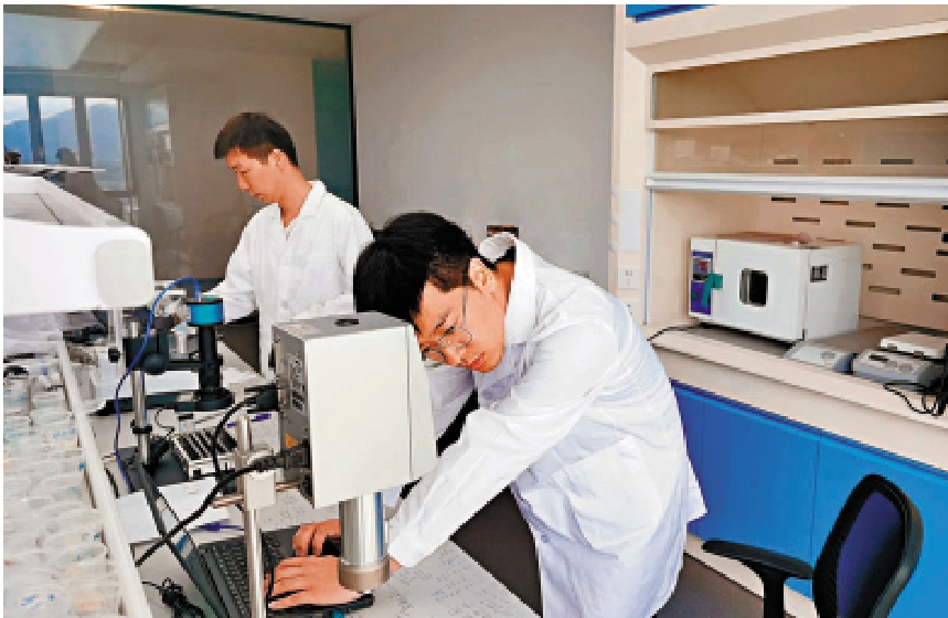 　　圖：香港科研團隊在河套深港科技創新合作區實驗室做實驗。