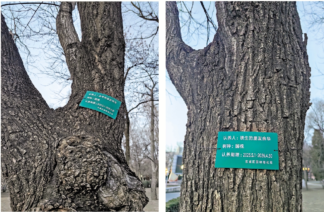 　　圖：北京地壇公園的「鐵生」「余華」樹。\作者供圖
