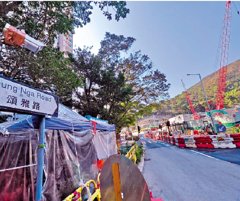 　　圖：議員支持政府在頌雅路西用地興建單位安置居民。