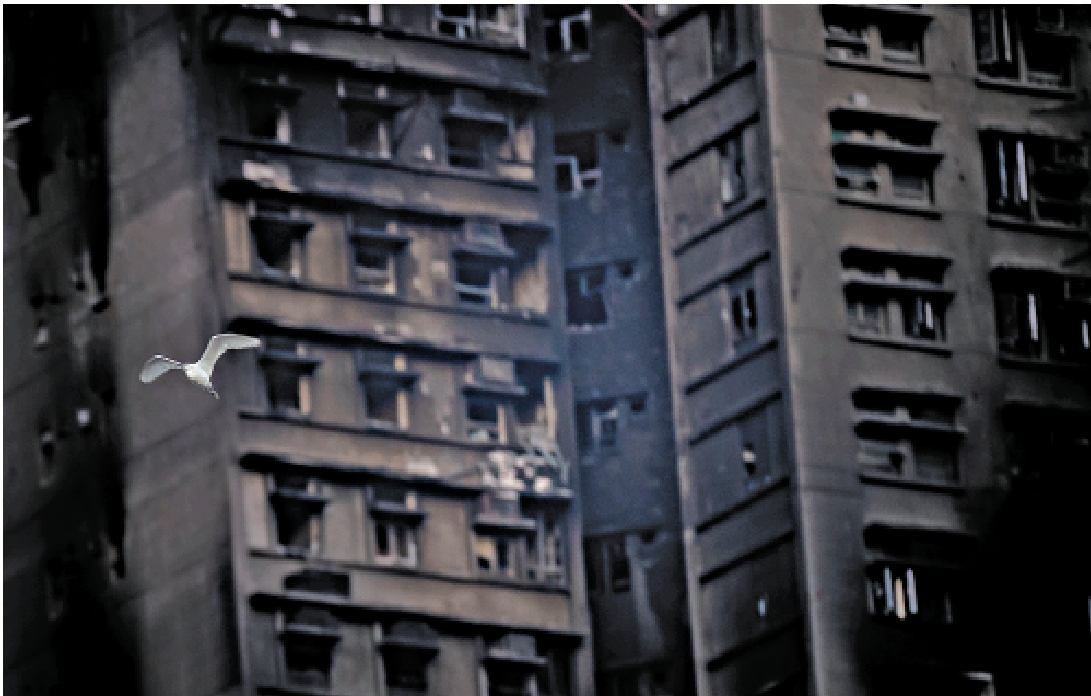 　　圖：保險業預計，宏福苑大火已賠償金額肯定超過三億元。