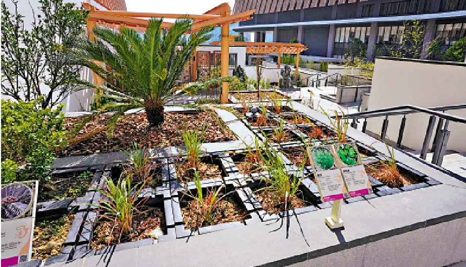 　　圖：神農本草園根據藥用植物的不同功能，劃分為9個小區，種植約一百八十種藥用植物，每種植物均設有介紹牌。