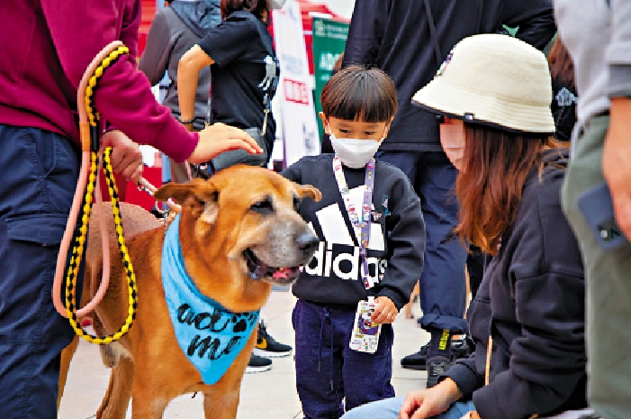 　　圖：市民在狗狗領養嘉年華可以親身接觸狗狗，了解牠們的個性。圖為往年舉行的嘉年華會。