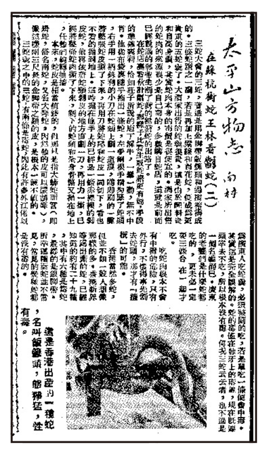 　　圖：1953年1月6日，《大公報》連載葉靈鳳的專欄「太平山方物志」。