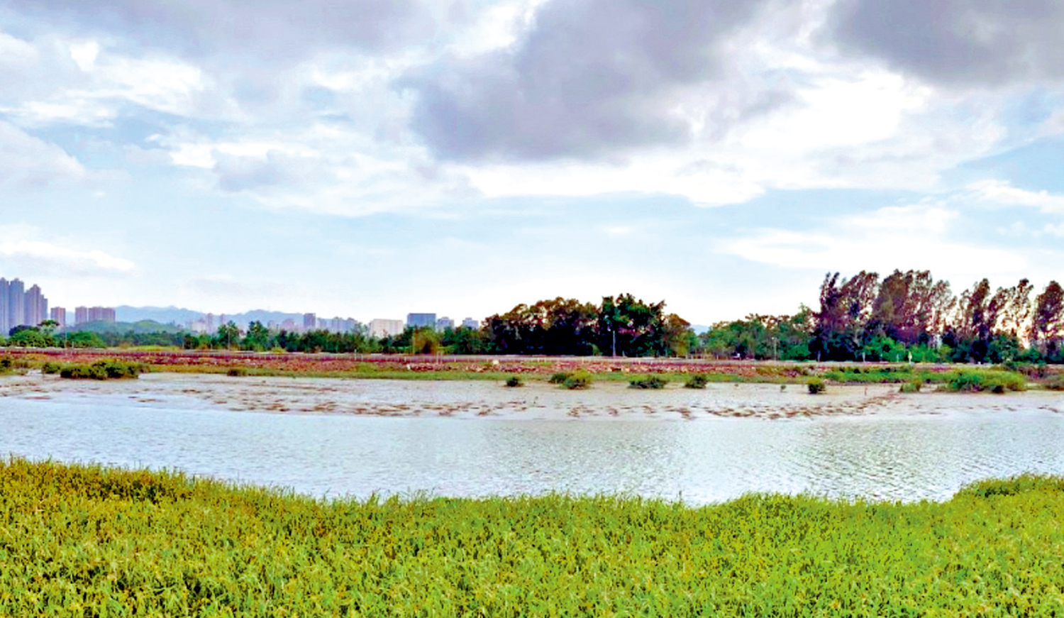 　　圖：錦田河上游一帶出現衞生問題，令人關注。