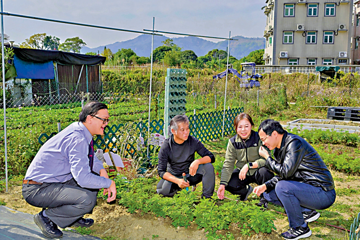 　　圖：機構與大學合作以納米耕作系統種植中草藥，該系統關鍵在納米水泡令水含氧量更高。