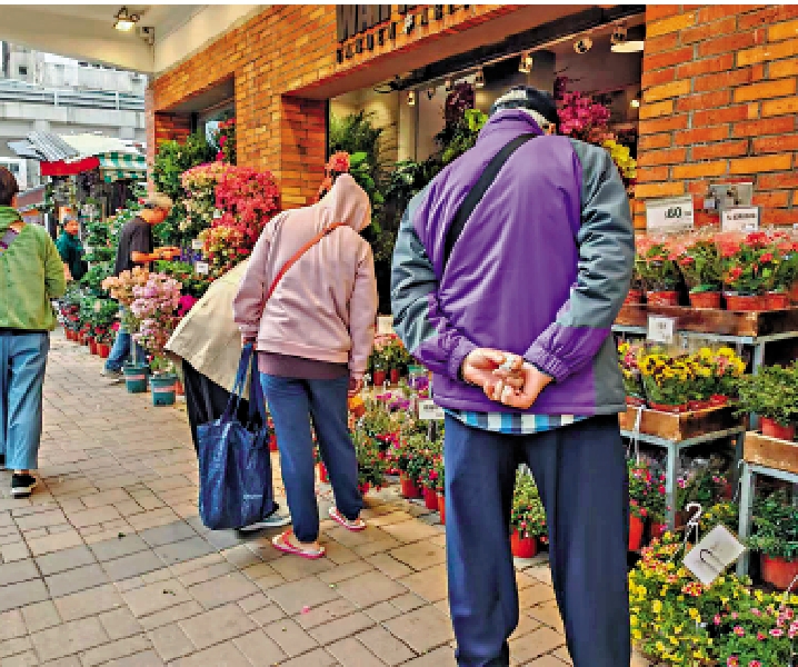 　　圖：旺角花墟的花商表示，年花售價與去年相若。\大公報記者肖泓宇攝