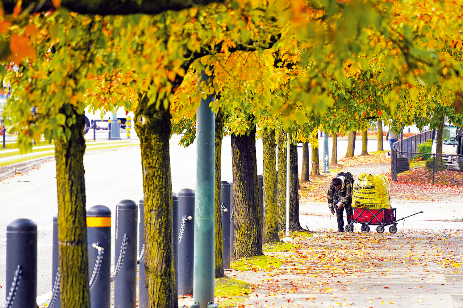 　　圖：在美國俄勒岡州波特蘭，無家可歸者在街頭拾荒。\新華社