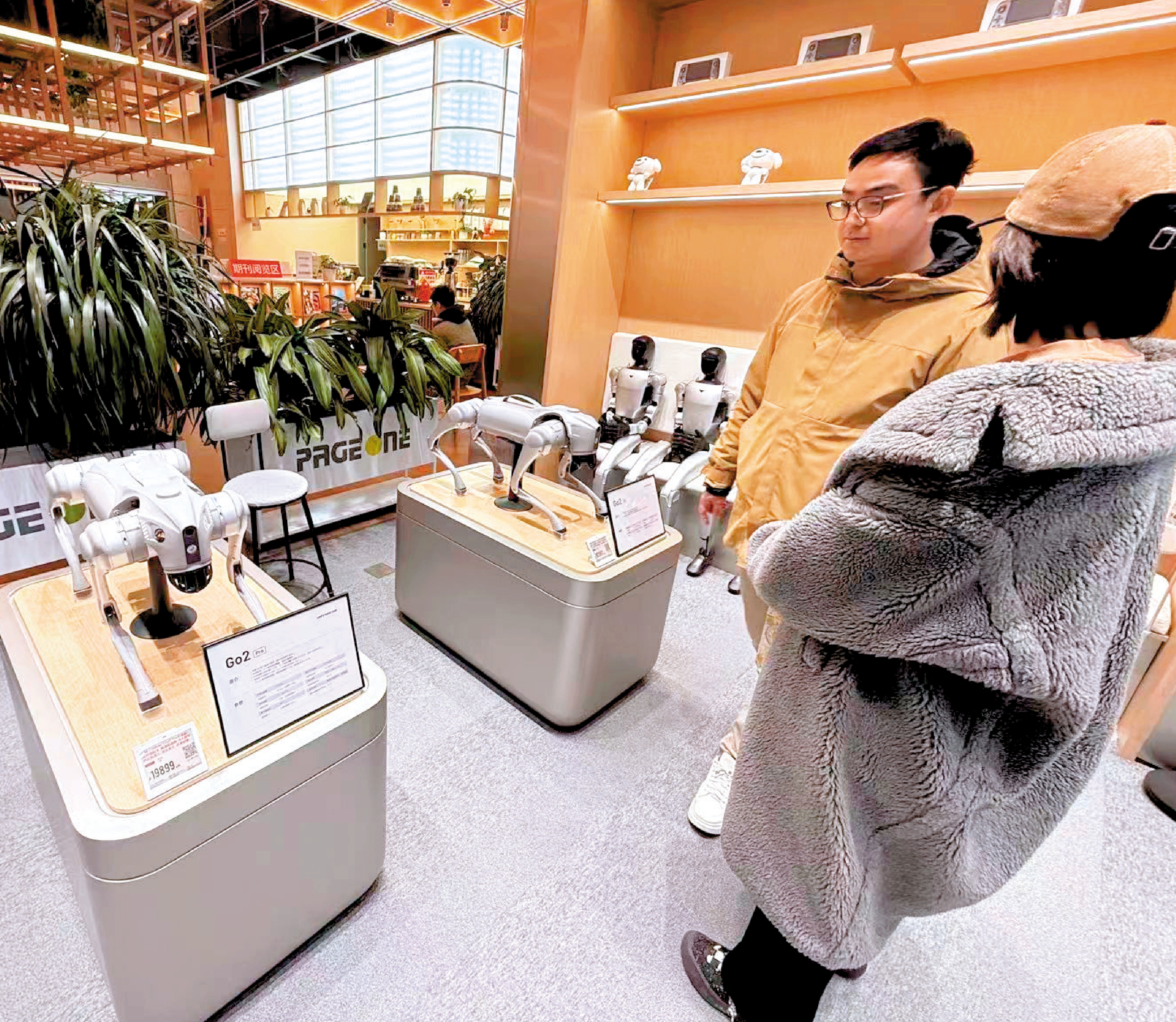 　　圖：在北京，顧客線下選購宇樹科技機器人產品。\大公報記者郭瀚林攝