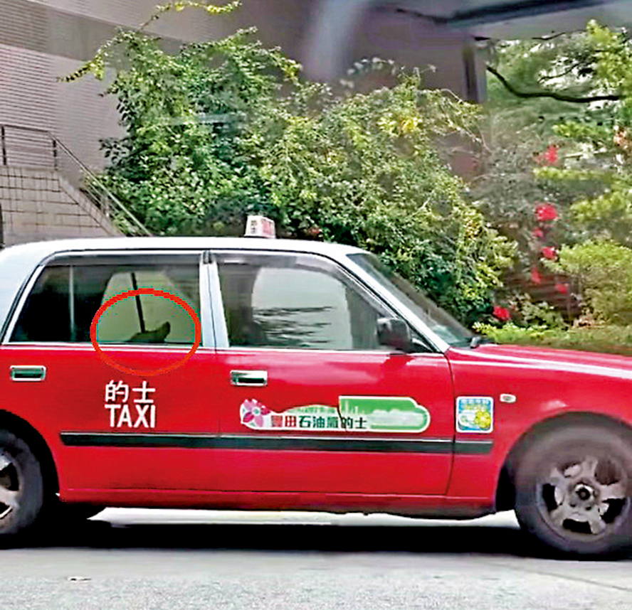 　　圖：葵涌日前驚現「無人駕駛」的士，51歲司機涉嫌不小心駕駛被警方票控。