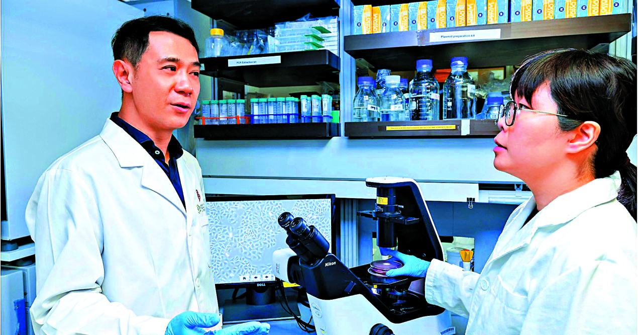 　　圖：理大應用生物及化學科技學系副系主任及教授李建華（左）領導的團隊研發新型抗體，為代謝相關肝癌治療開闢新方向。