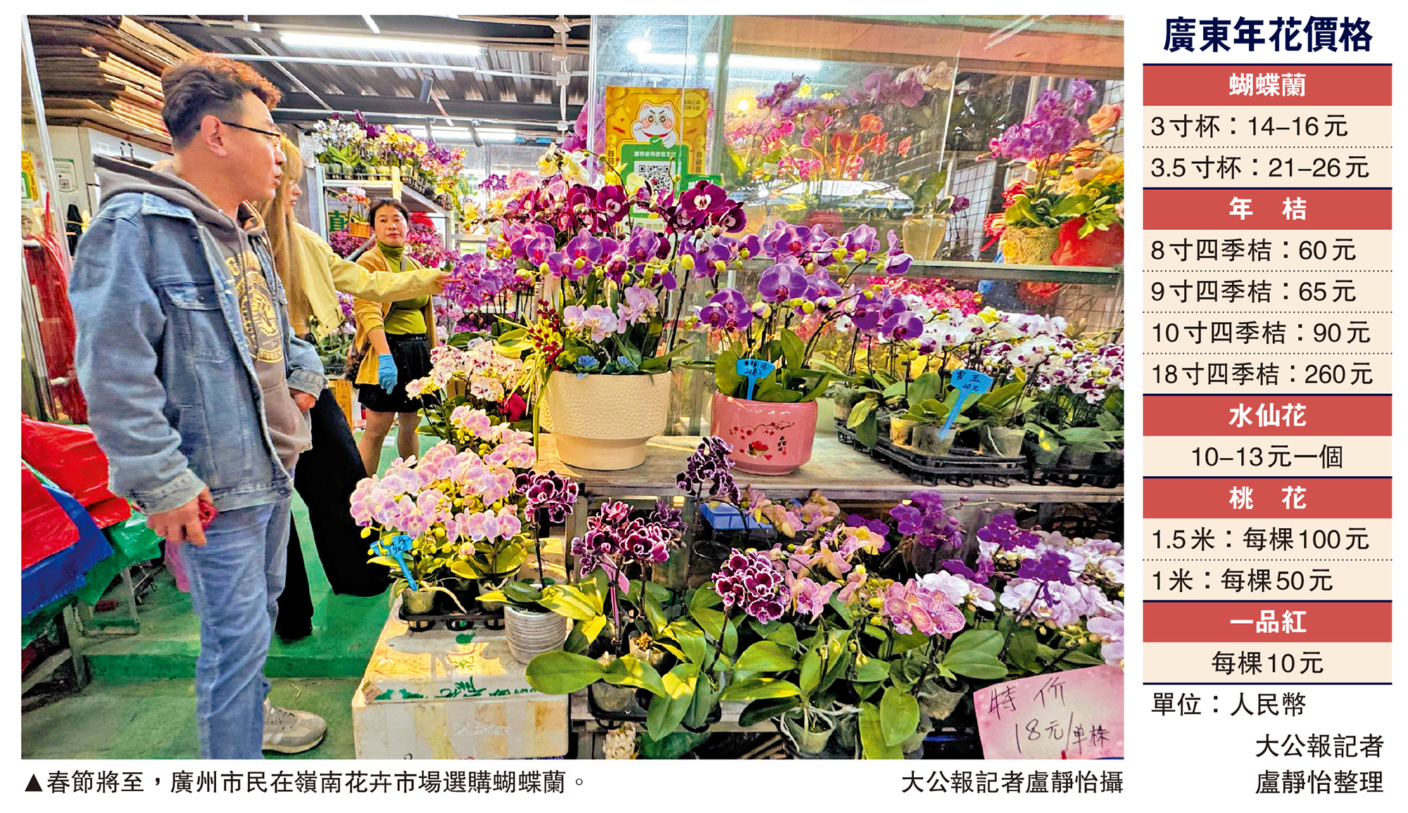 　　圖：春節將至，廣州市民在嶺南花卉市場選購蝴蝶蘭。\大公報記者盧靜怡攝