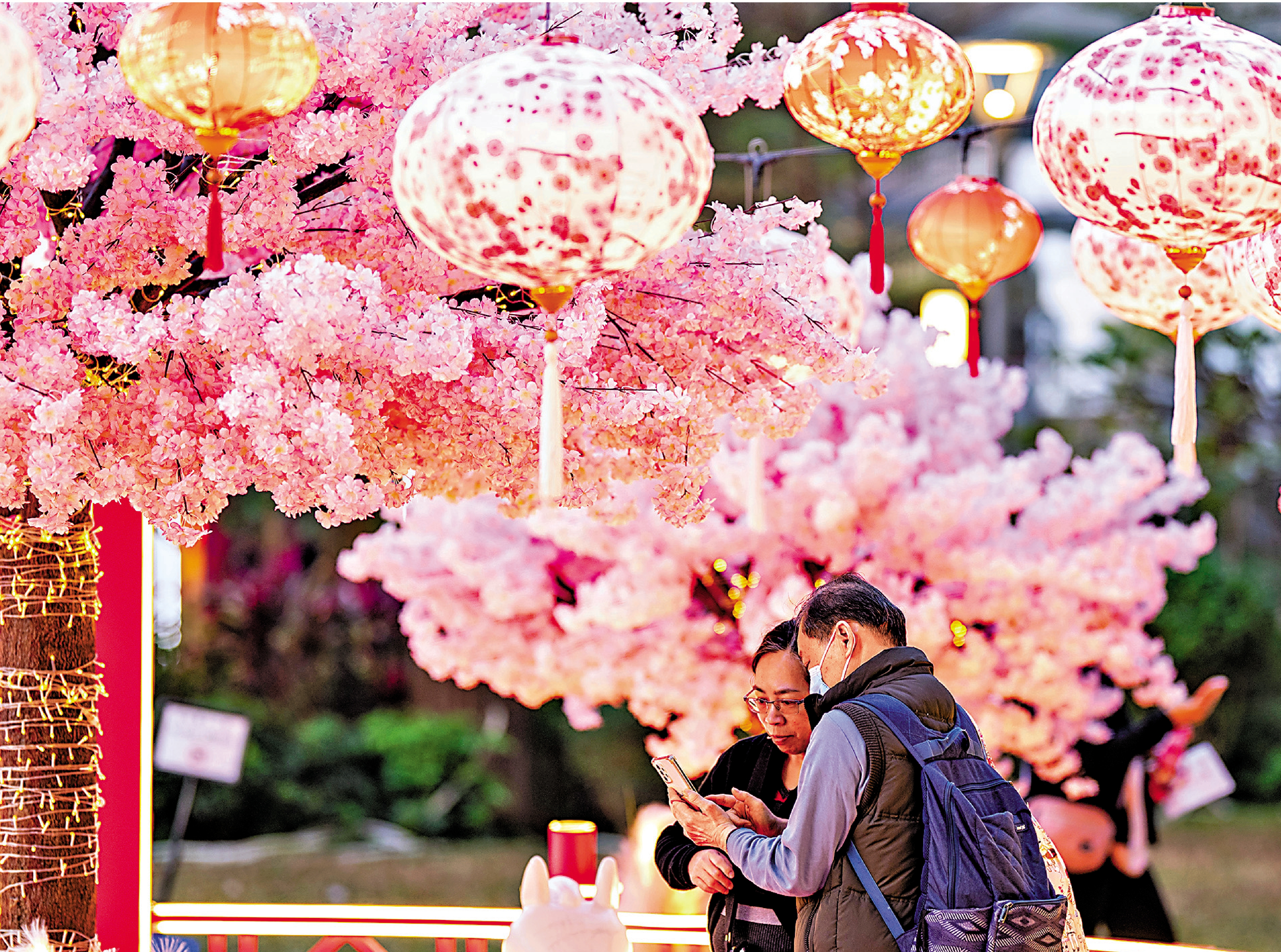 　　圖：2月4日，香港市民在北角街頭欣賞一處名為「花見春之園」的新春裝飾布景。\中新社