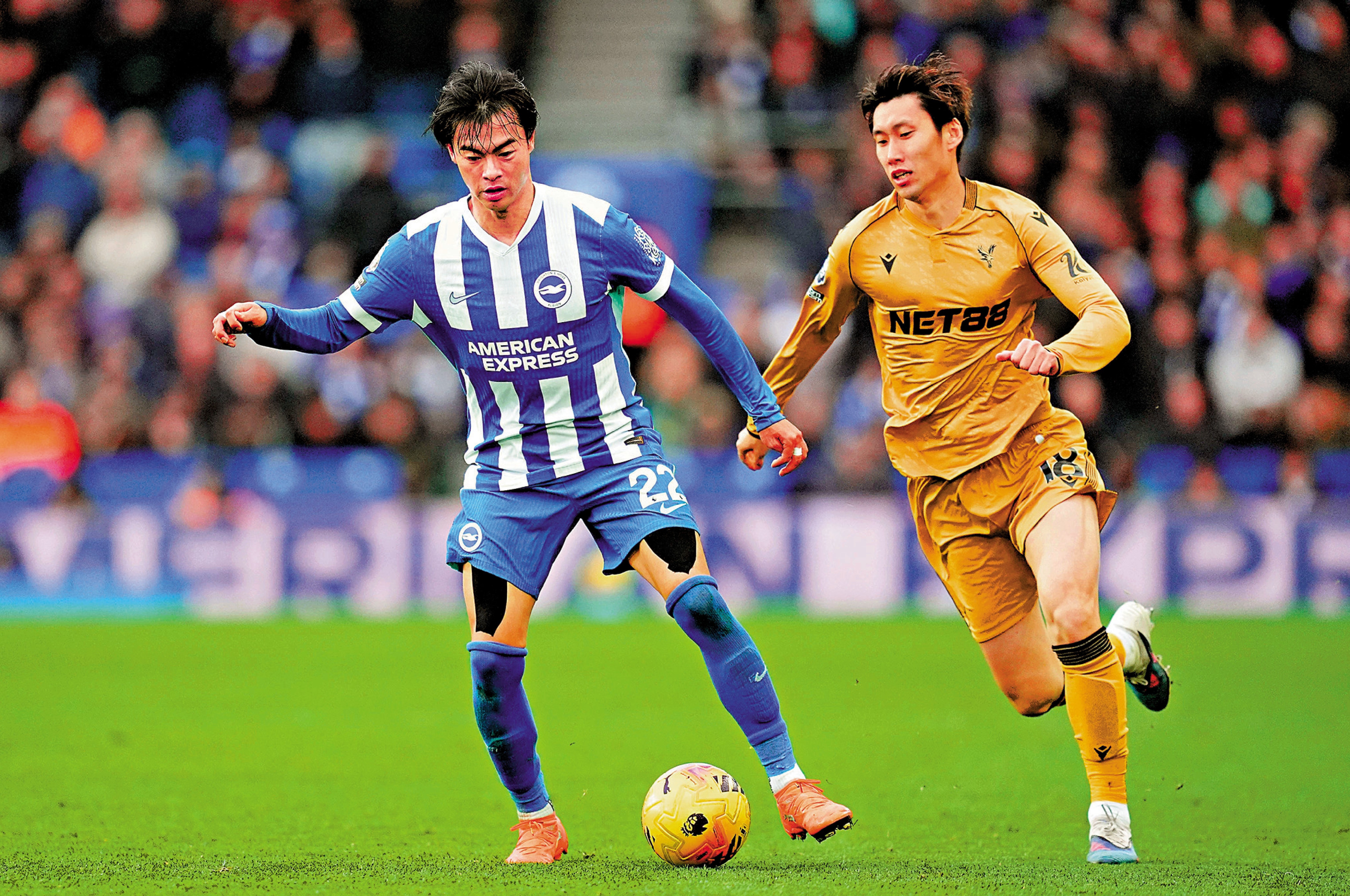 　　圖：白禮頓左翼三笘薰（左）。