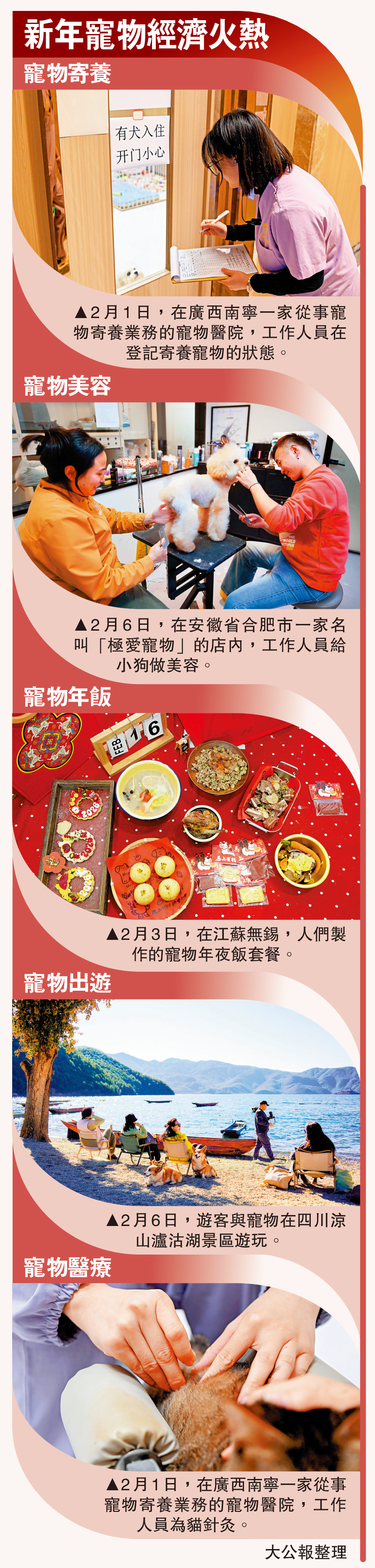 　　圖：新年寵物經濟火熱