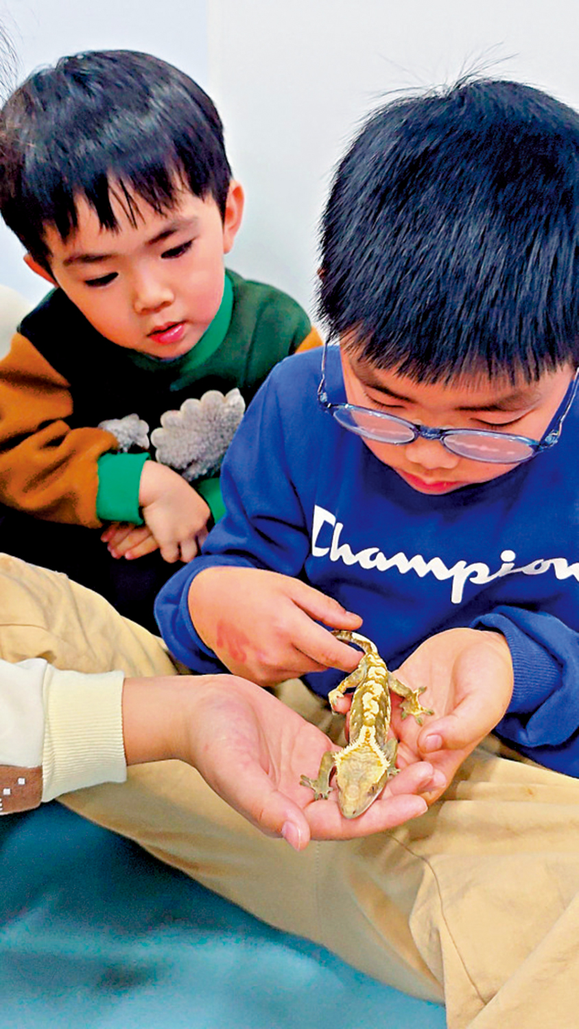 　　圖：位於深圳領展中心城的活體昆蟲科普展，小朋友可以親密接觸溫和的異寵。 大公報記者李薇攝