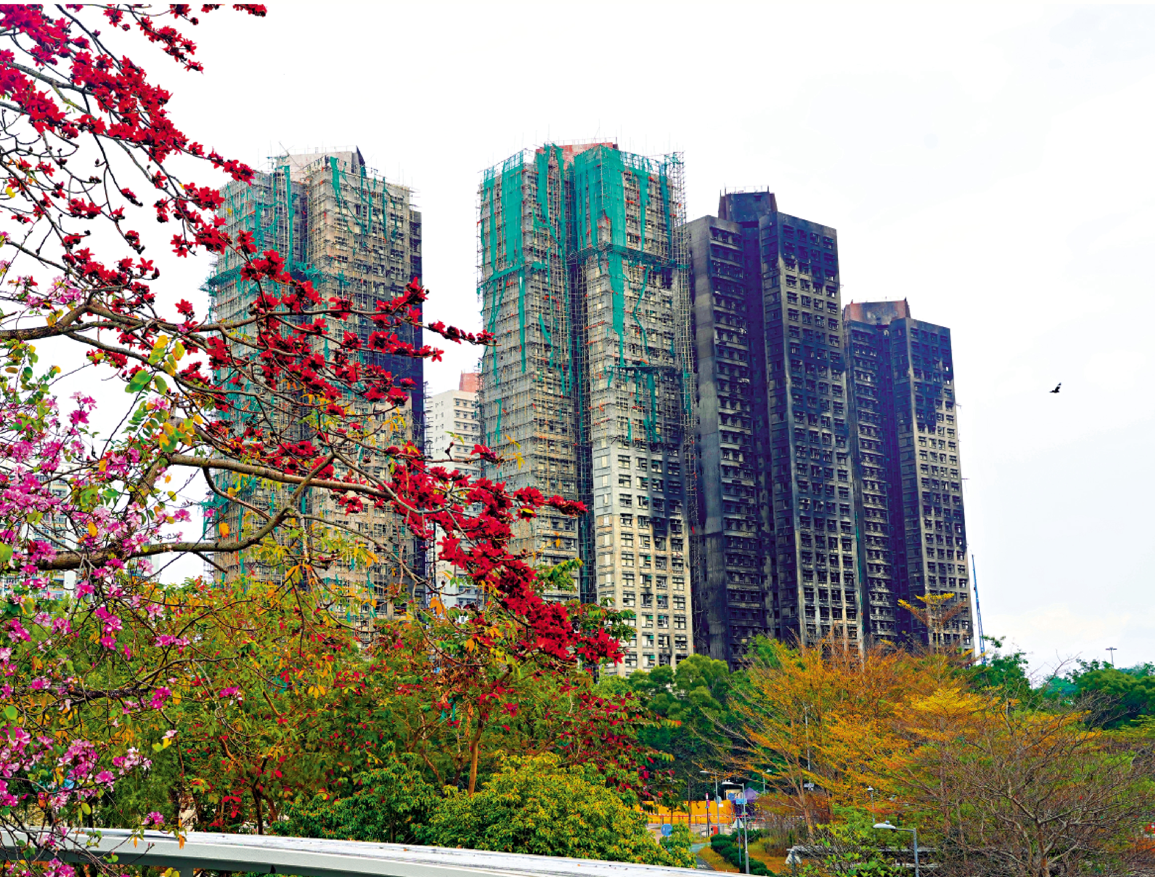 　　圖：黃偉綸表示，如宏福苑業主接受收購方案，目標今年第三季將現金交到業主手上。