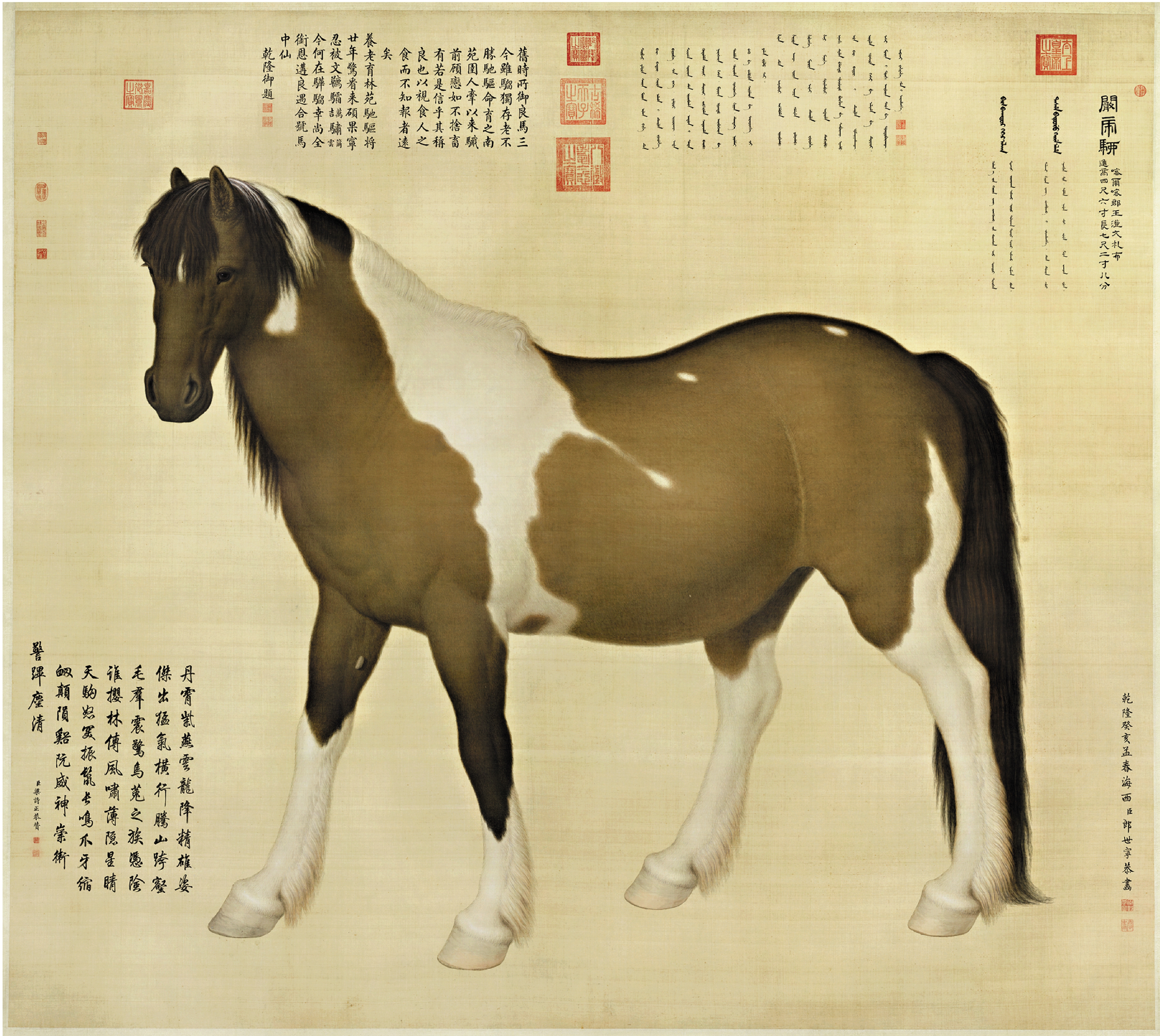 　　圖：郎世寧《十駿圖》（闞虎騮）軸。/北京故宮博物院藏