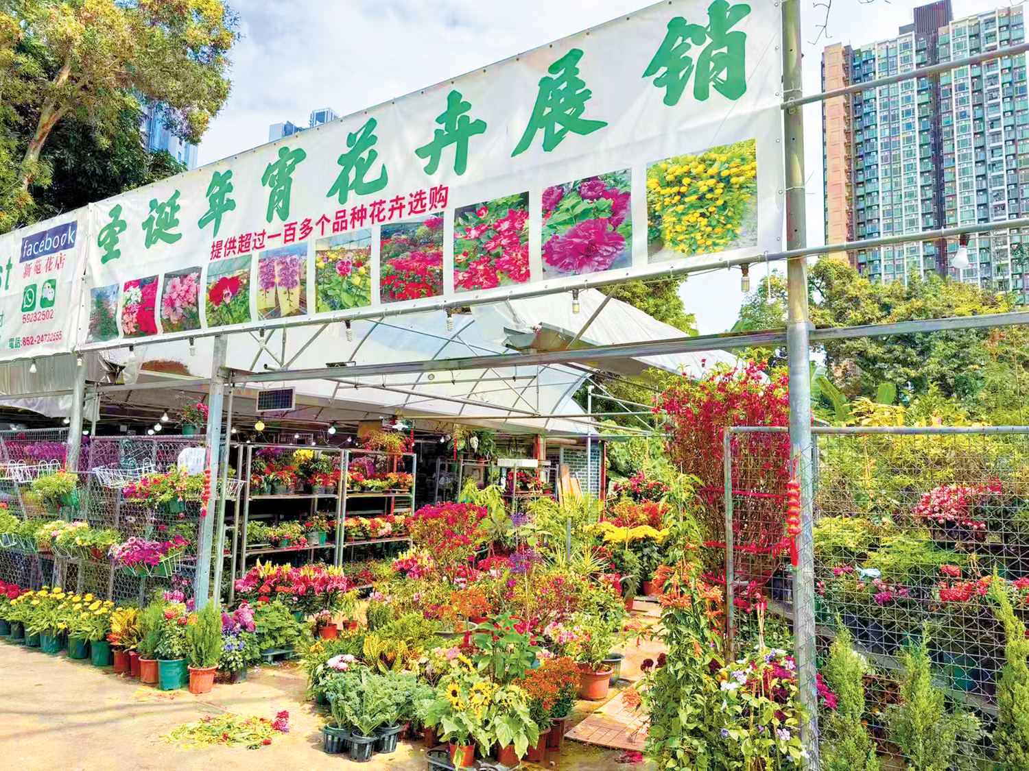 　　圖：元朗仍有不少花店擺滿鮮花。\大公報記者顏琨攝