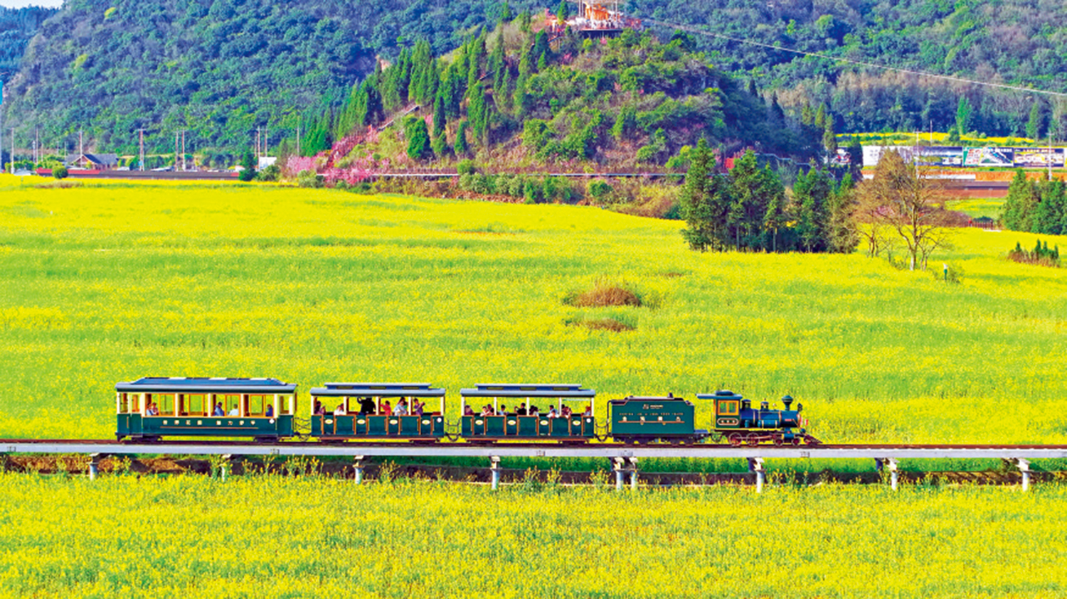 　　圖：在雲南省曲靖市金雞峰叢景區，休假的民眾正在乘坐觀光小火車。\新華社