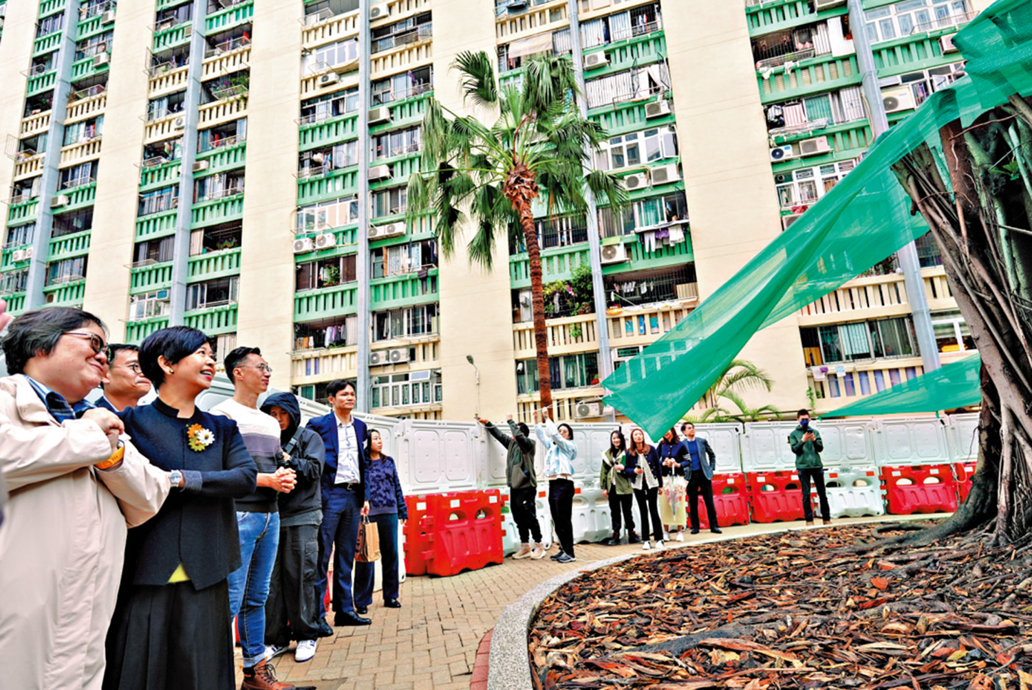 　　圖：何永賢表示，為該棵印度橡膠榕樹的新一「葉」揭幕。