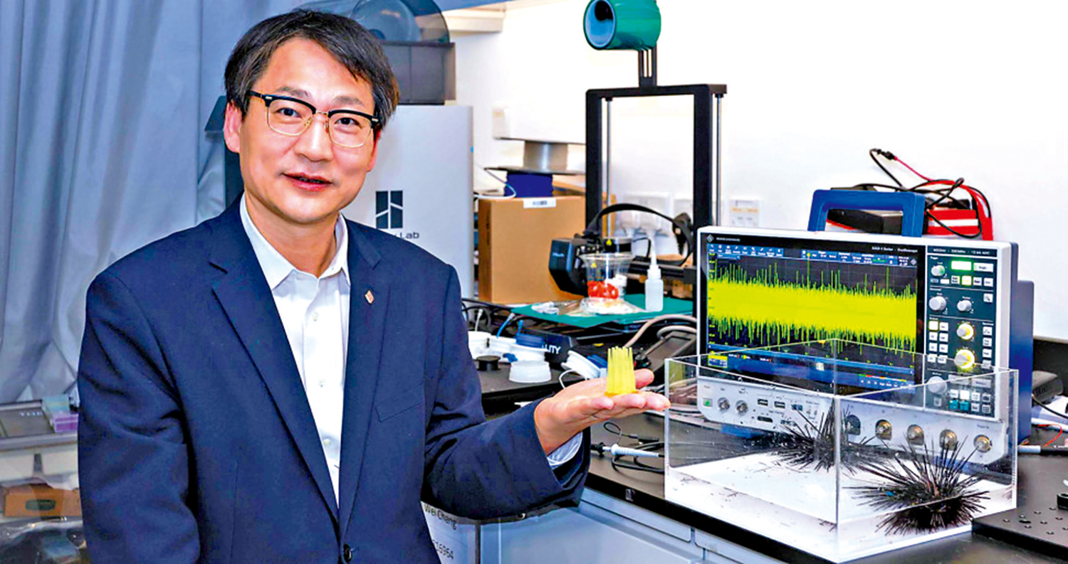 　　圖：研究團隊發現，海膽棘刺內部的梯度多孔結構具有強大機電感知能力，能迅速感應水流。