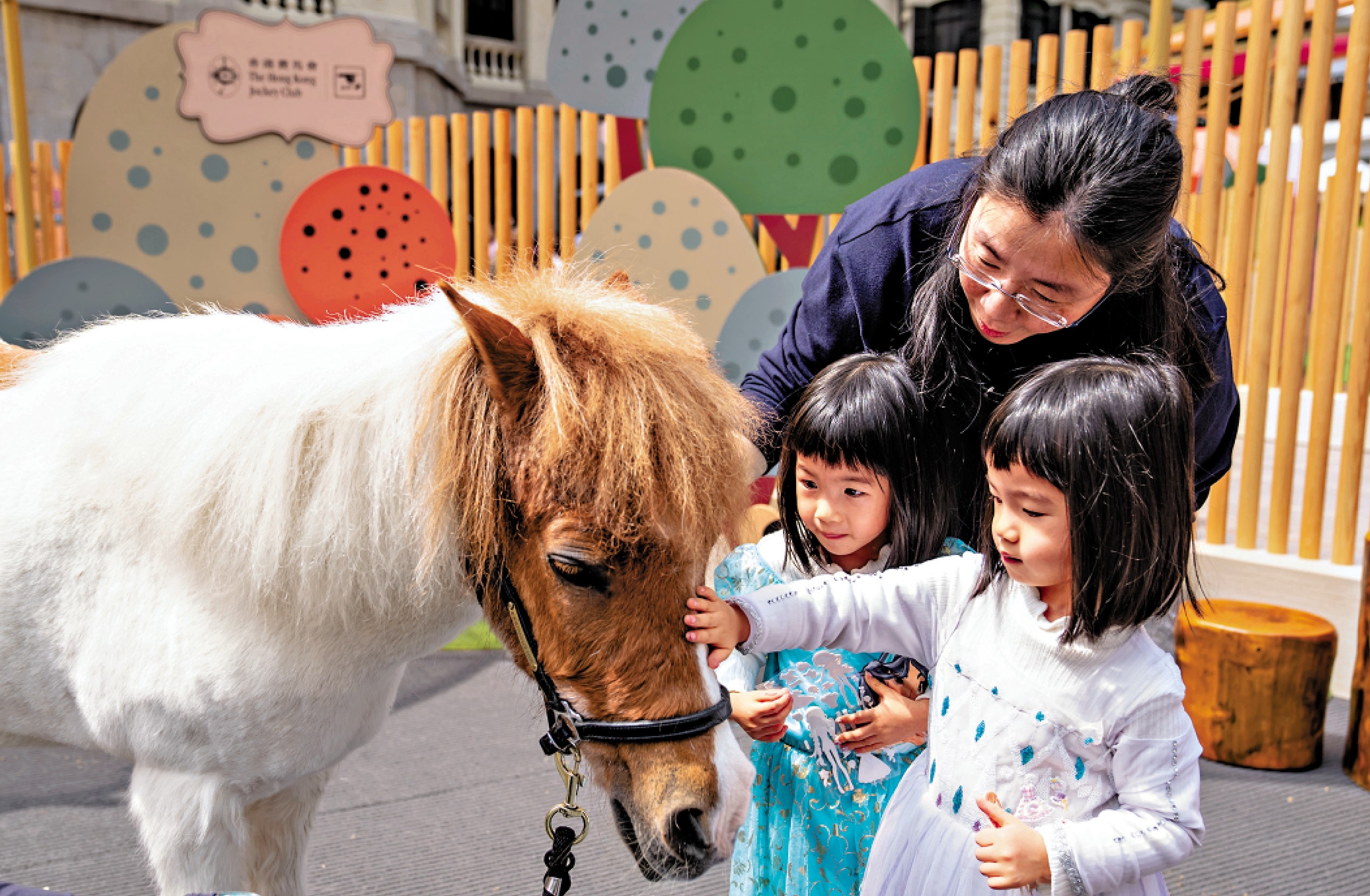 　　圖：家長帶小朋友與小馬合影。