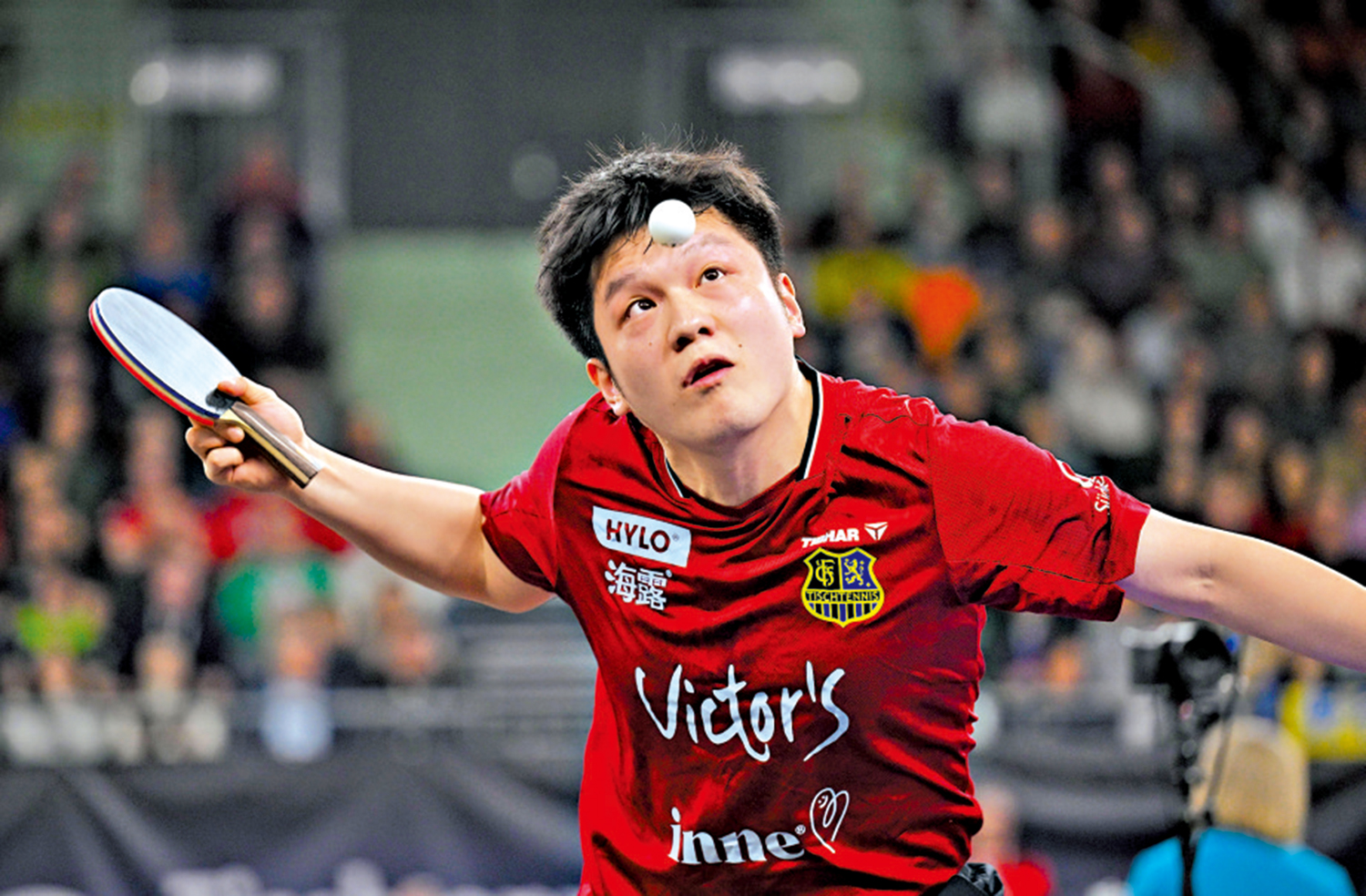 　　圖：樊振東本季效力薩爾布呂肯隊。