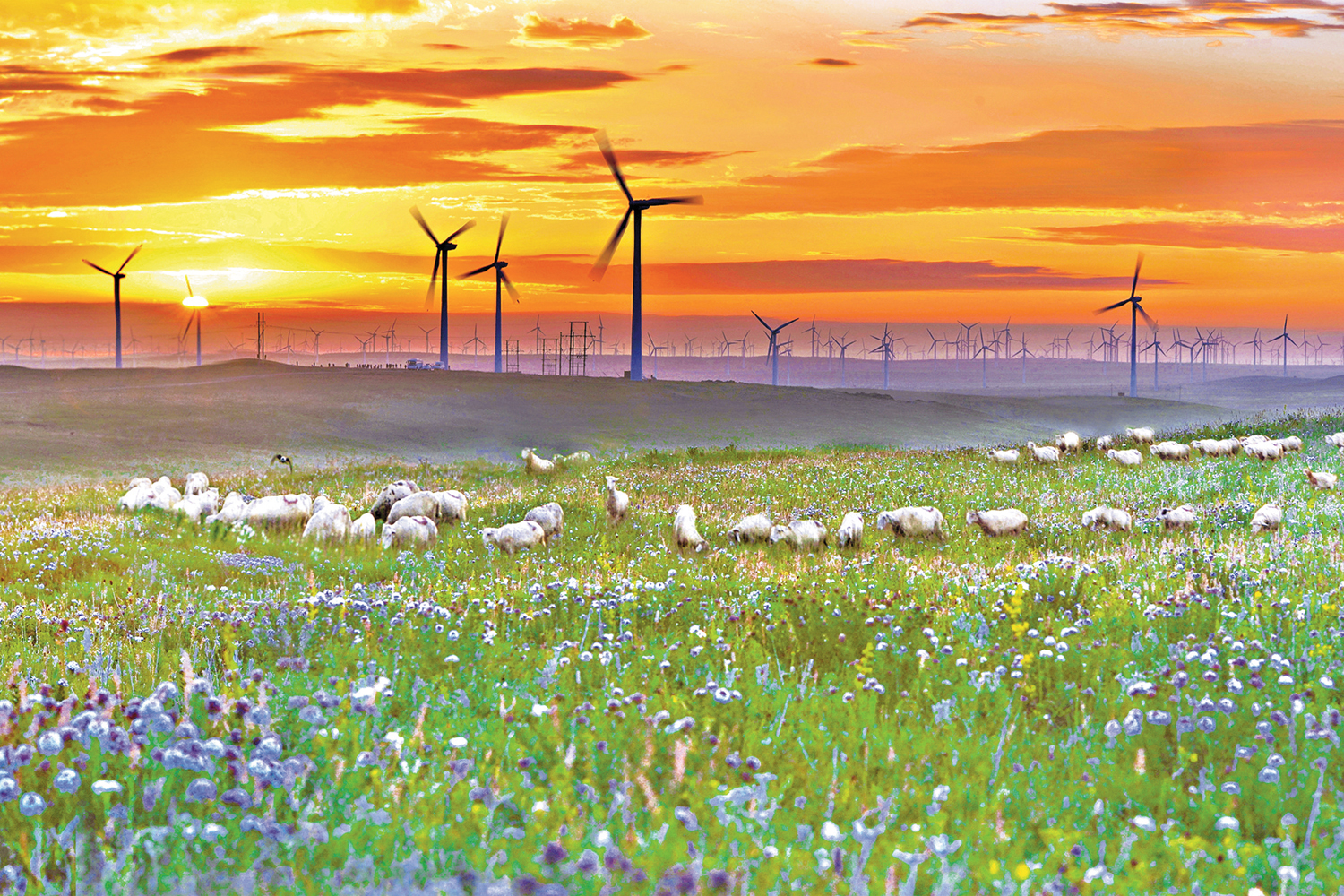 　　圖：內蒙古是中國北方重要生態安全屏障與新能源基地。圖為草原黃昏下的風電。\大公報記者喬輝攝
