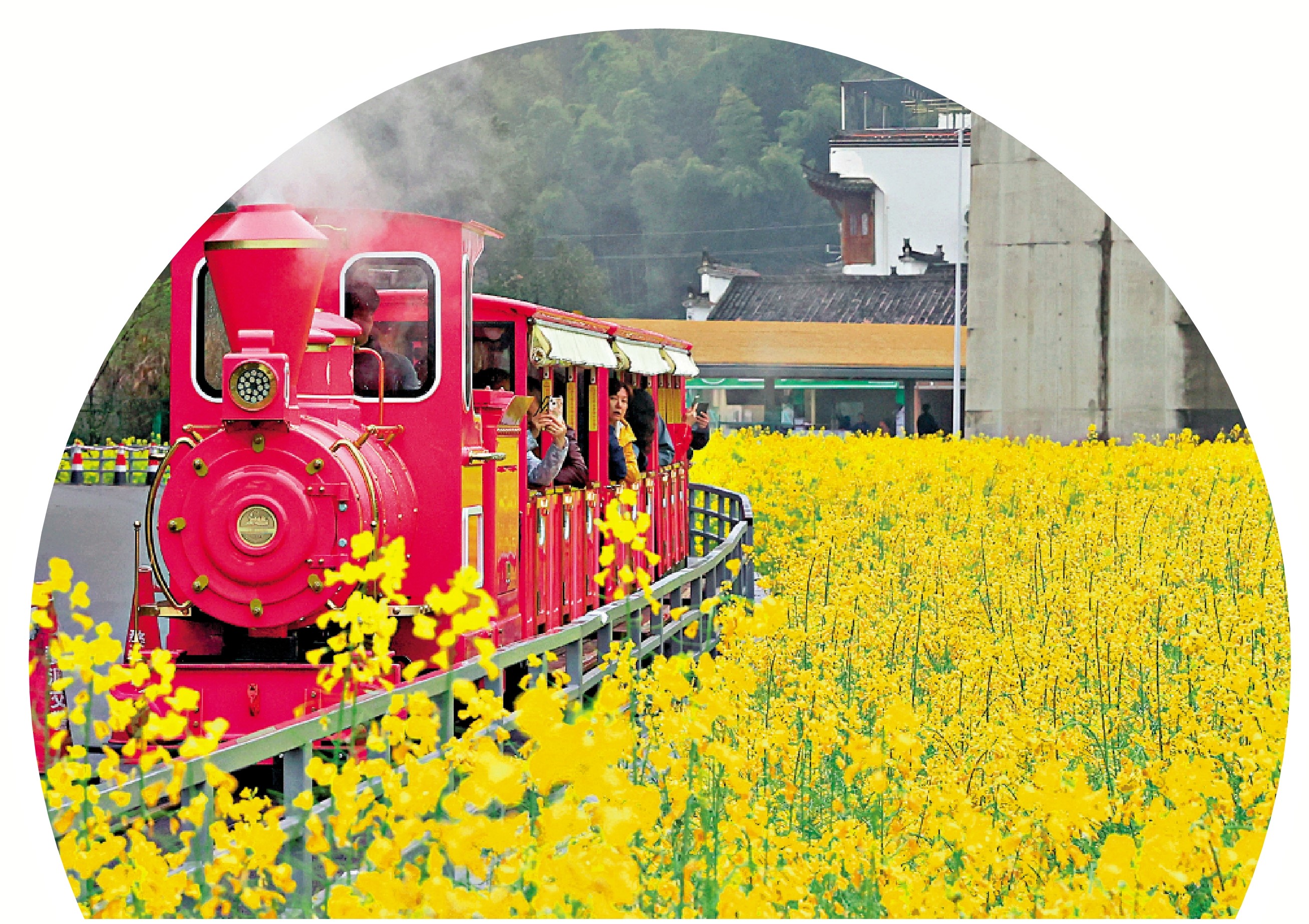 　　圖：遊客在江西婺源乘坐復古小火車，緩緩穿行於油菜花海。\中新社