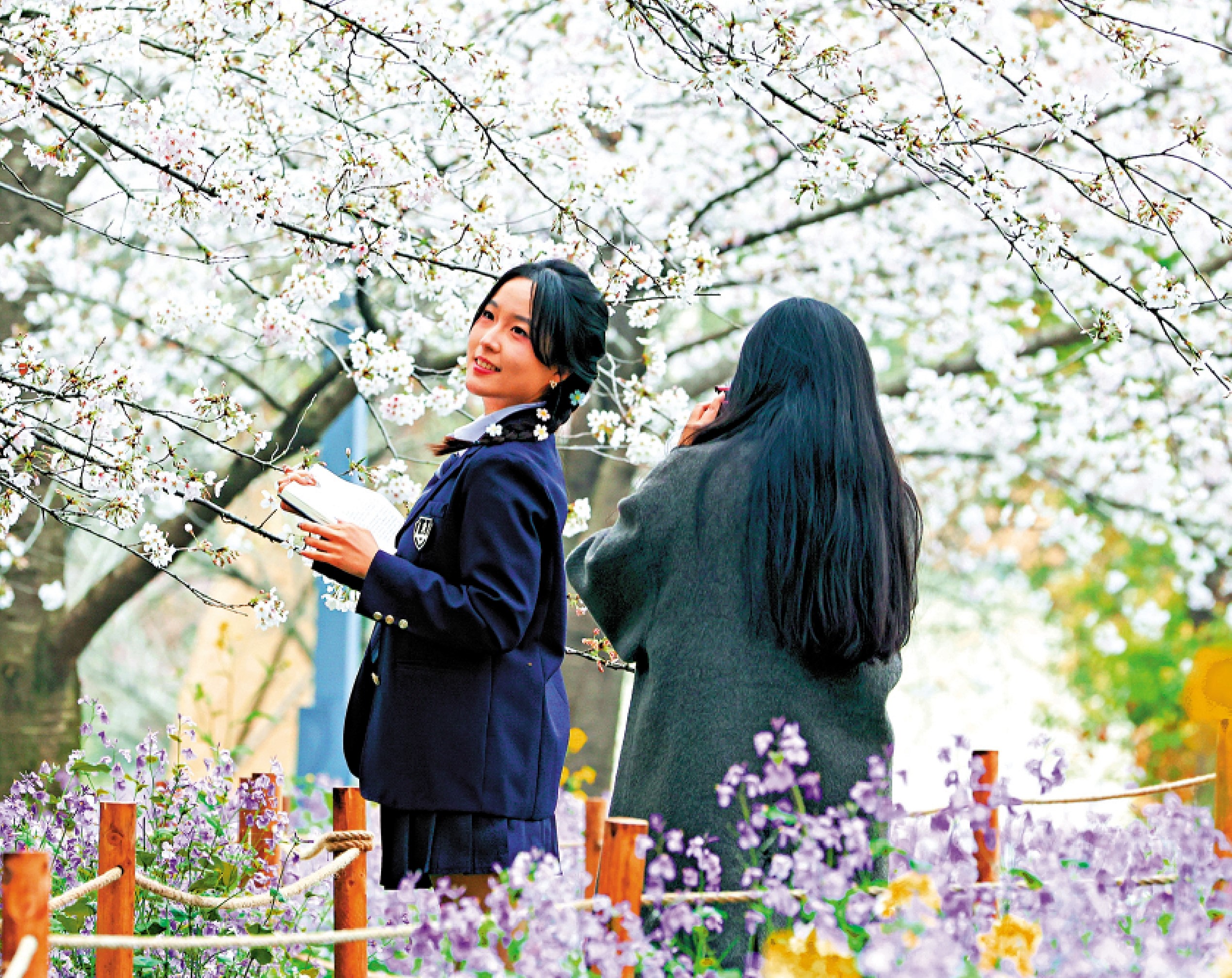 　　圖：遊客在湖北武漢東湖櫻花公園拍照。」\中新社