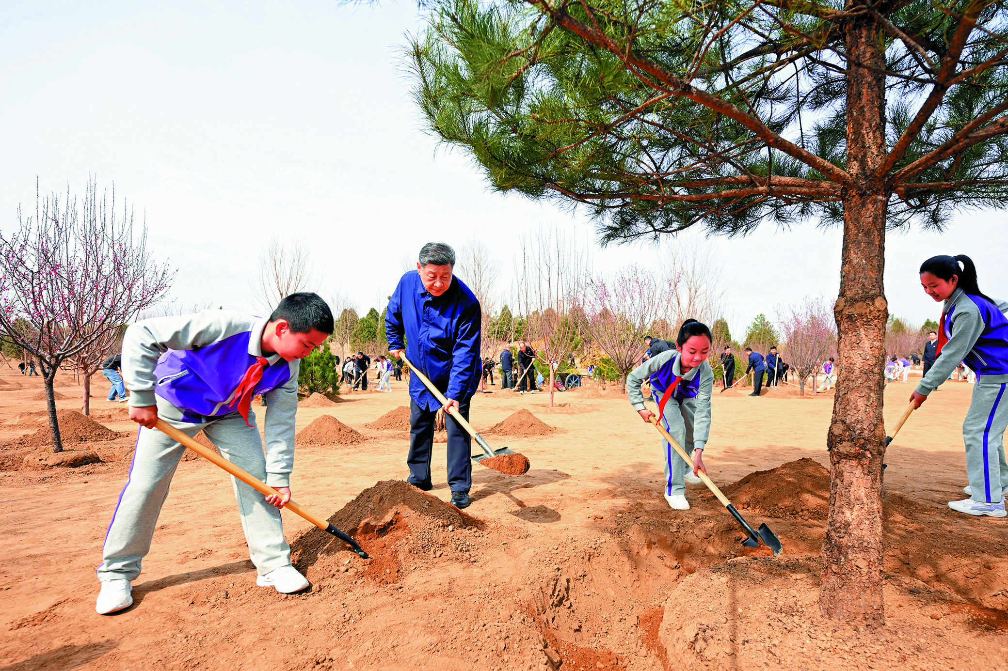 　　圖：3月30日，黨和國家領導人習近平、李強、趙樂際、王滬寧、蔡奇、丁薛祥、李希等來到北京市昌平區百善鎮參加首都義務植樹活動。這是習近平同大家一起植樹。\新華社