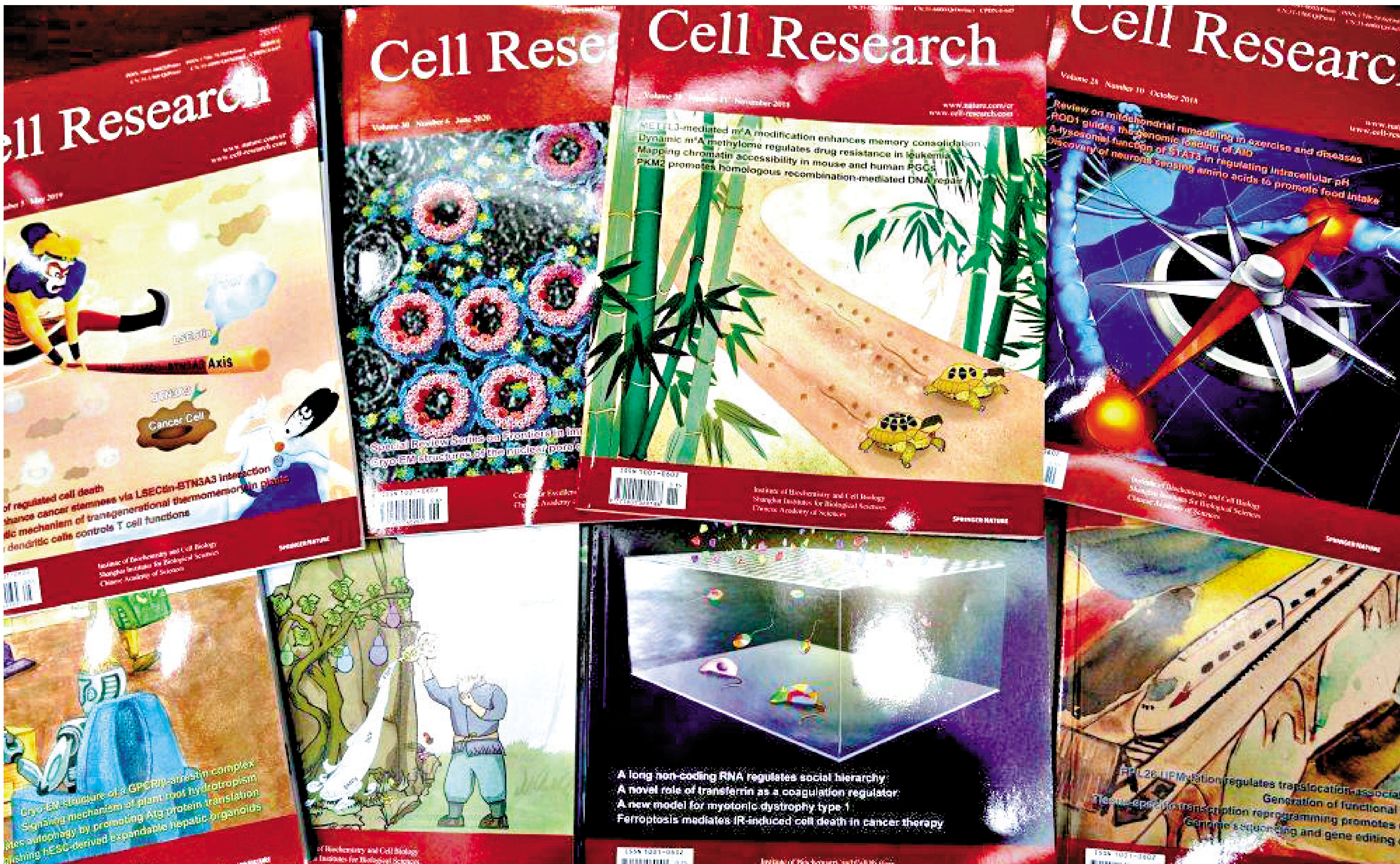 　　圖：作為國產高質量期刊，《細胞研究》（Cell Research）現已成為亞太生命科學第一刊。