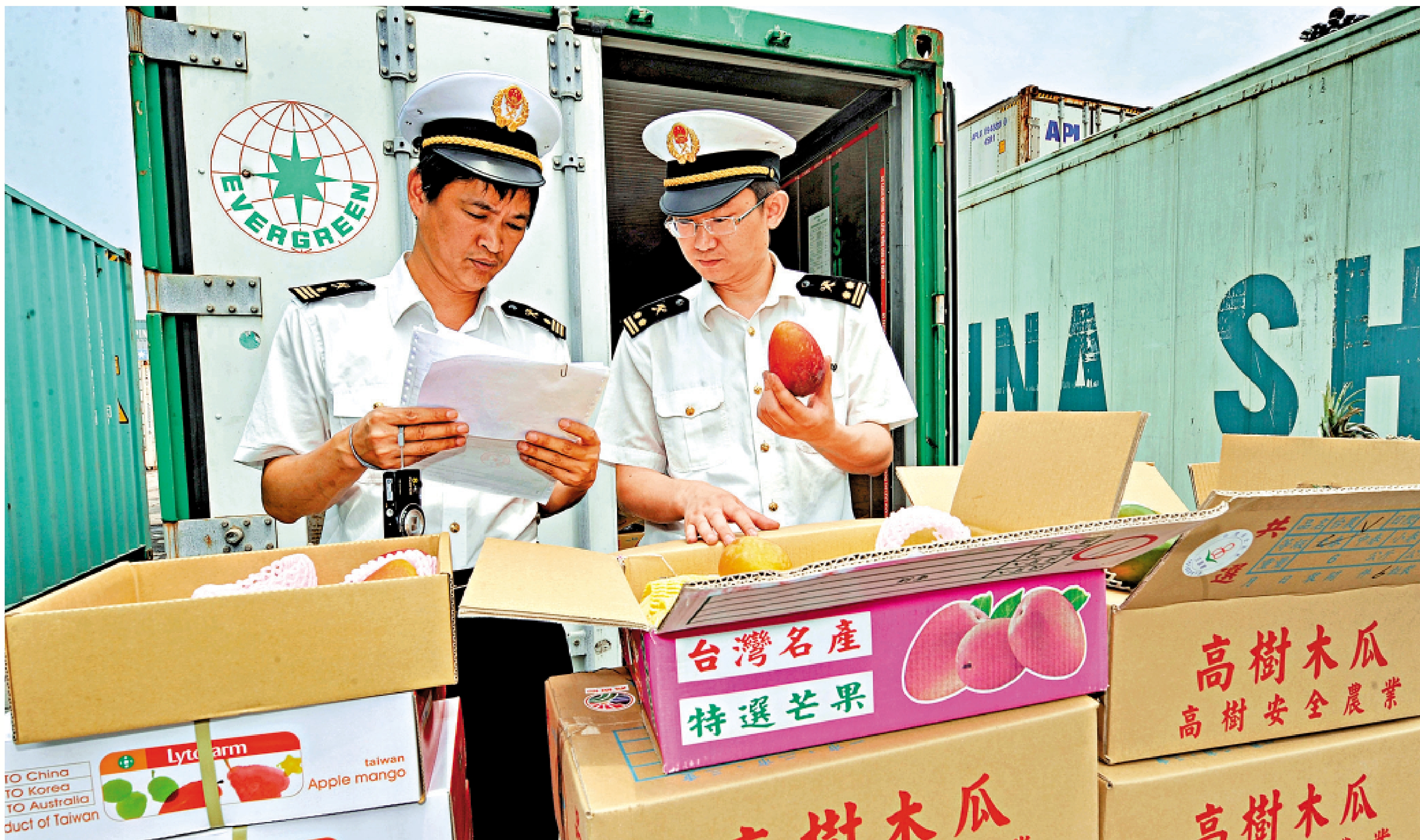 　　圖：大陸方面將為符合檢驗檢疫標準的台灣農漁產品輸入大陸提供便利。圖為廈門海關工作人員對台灣水果進行查驗。\資料圖片