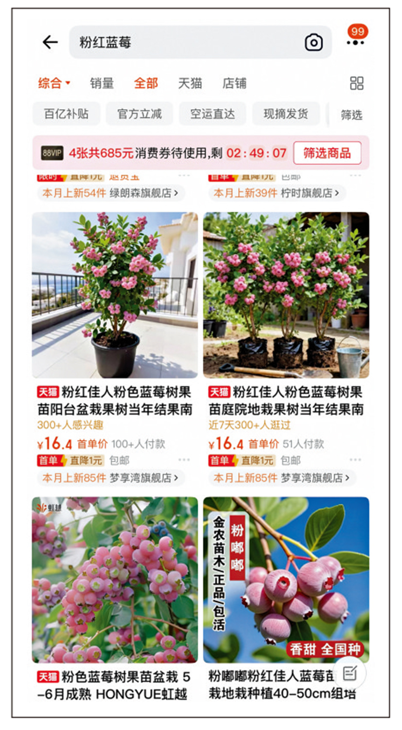 　　圖：內地電商平台上有許多出售「粉色藍莓果苗」的商家。