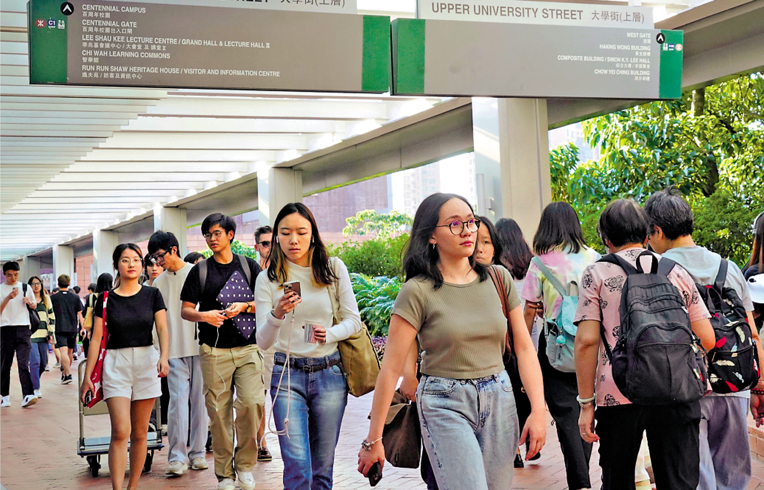 　　圖：大學畢業生的全職職位空缺，由2022年約8萬個下跌到2025年約3.1萬個。