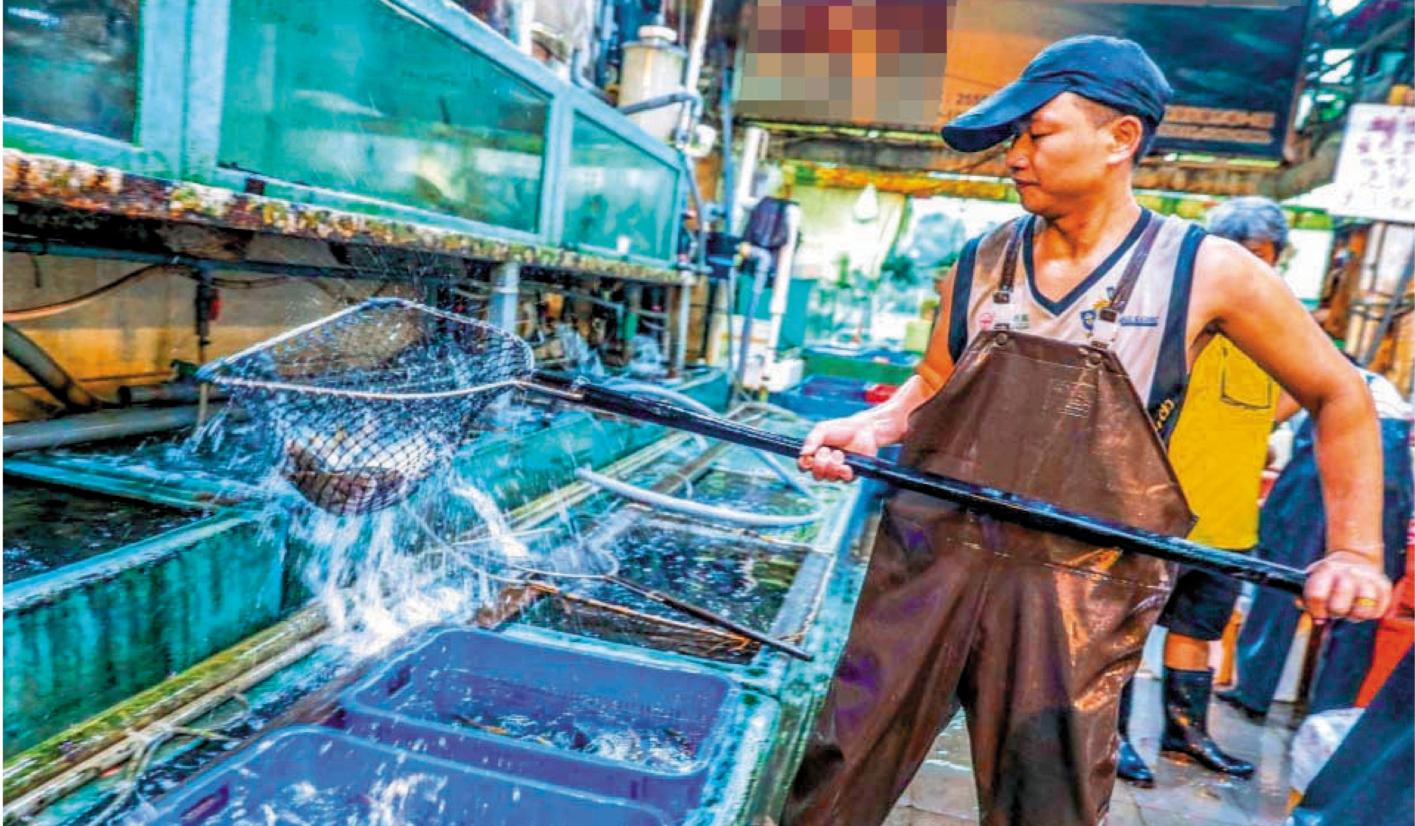 　　圖：香港海鮮市場。
