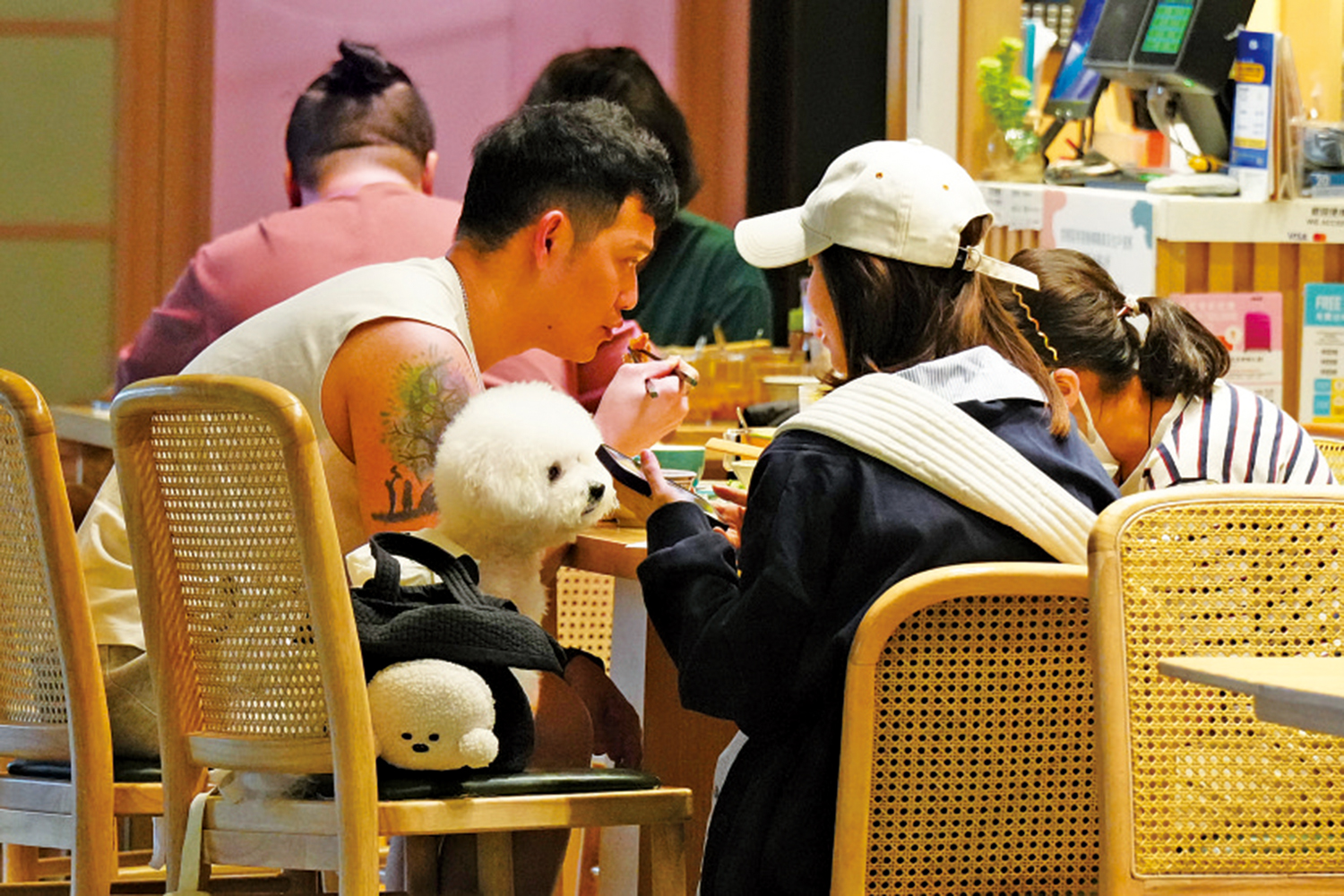 　　圖：食環署將於七月起，容許狗隻進入獲准的食肆。